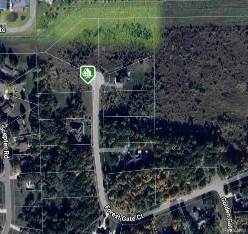 Grand Blanc, MI 48439,00 Forest Gate