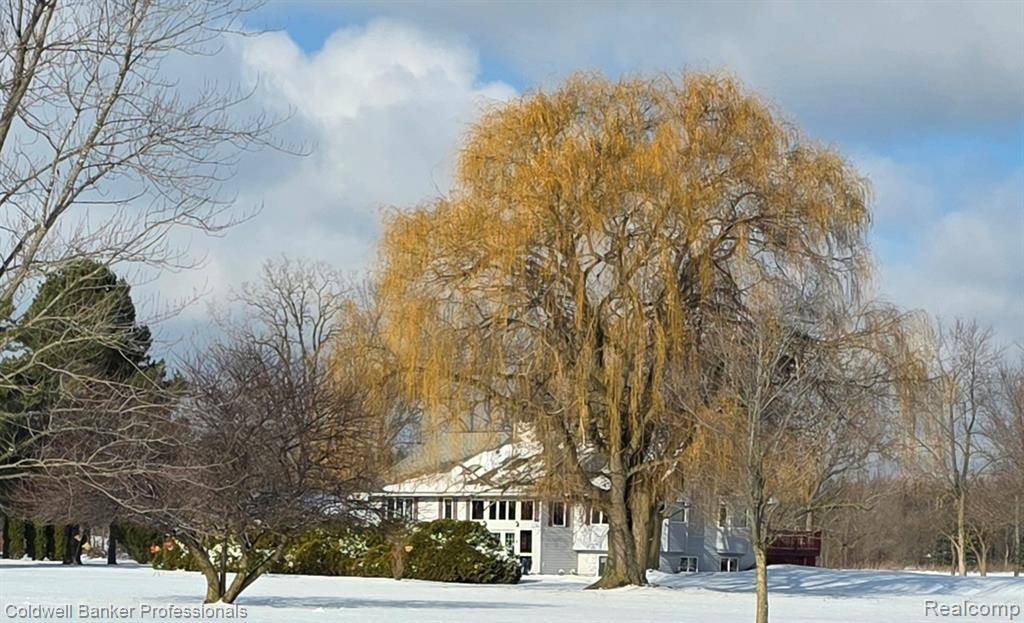 Ypsilanti, MI 48197,9205 Bemis Road