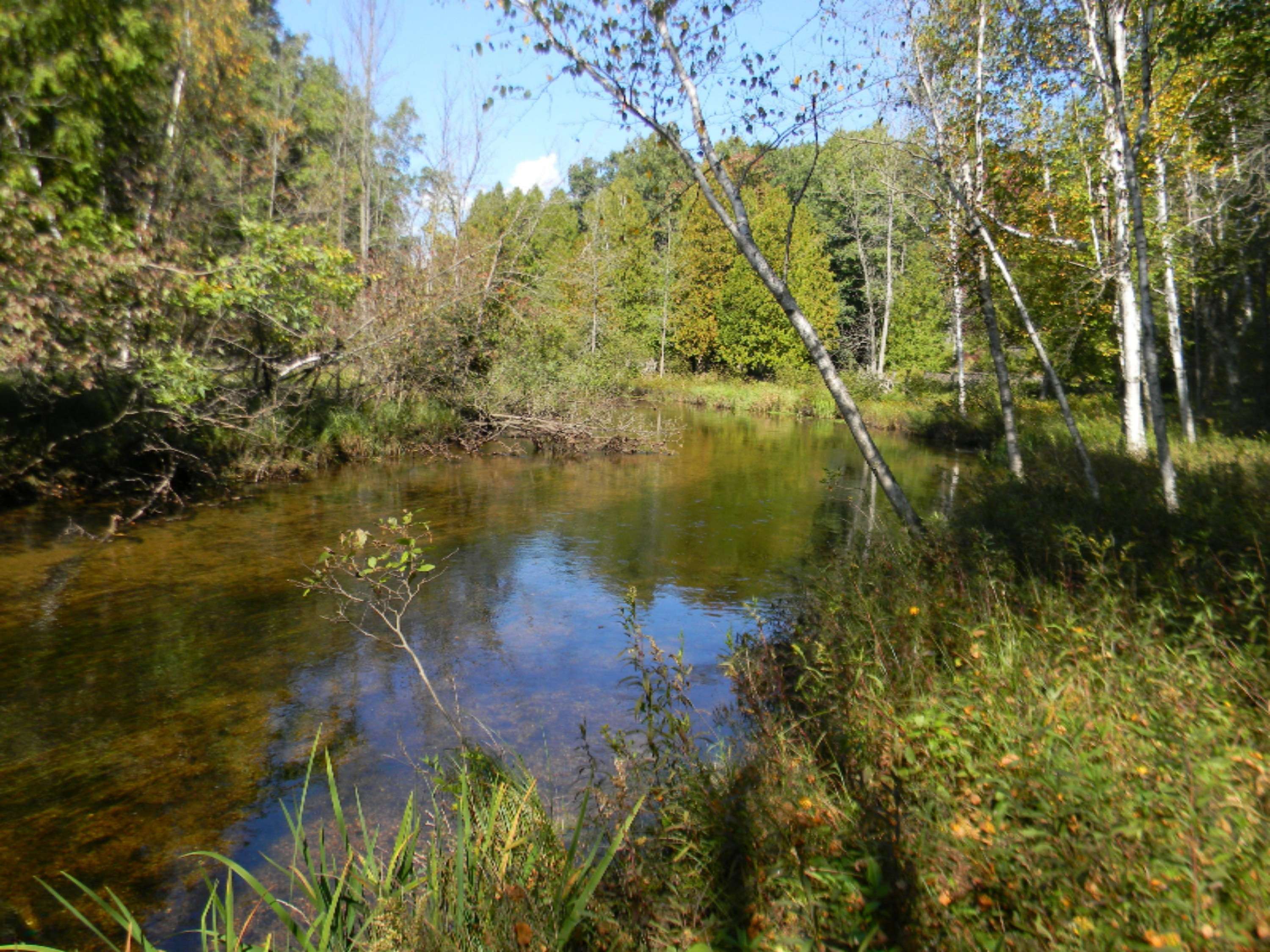 Canadian Lakes, MI 49346,7501 Madison Avenue