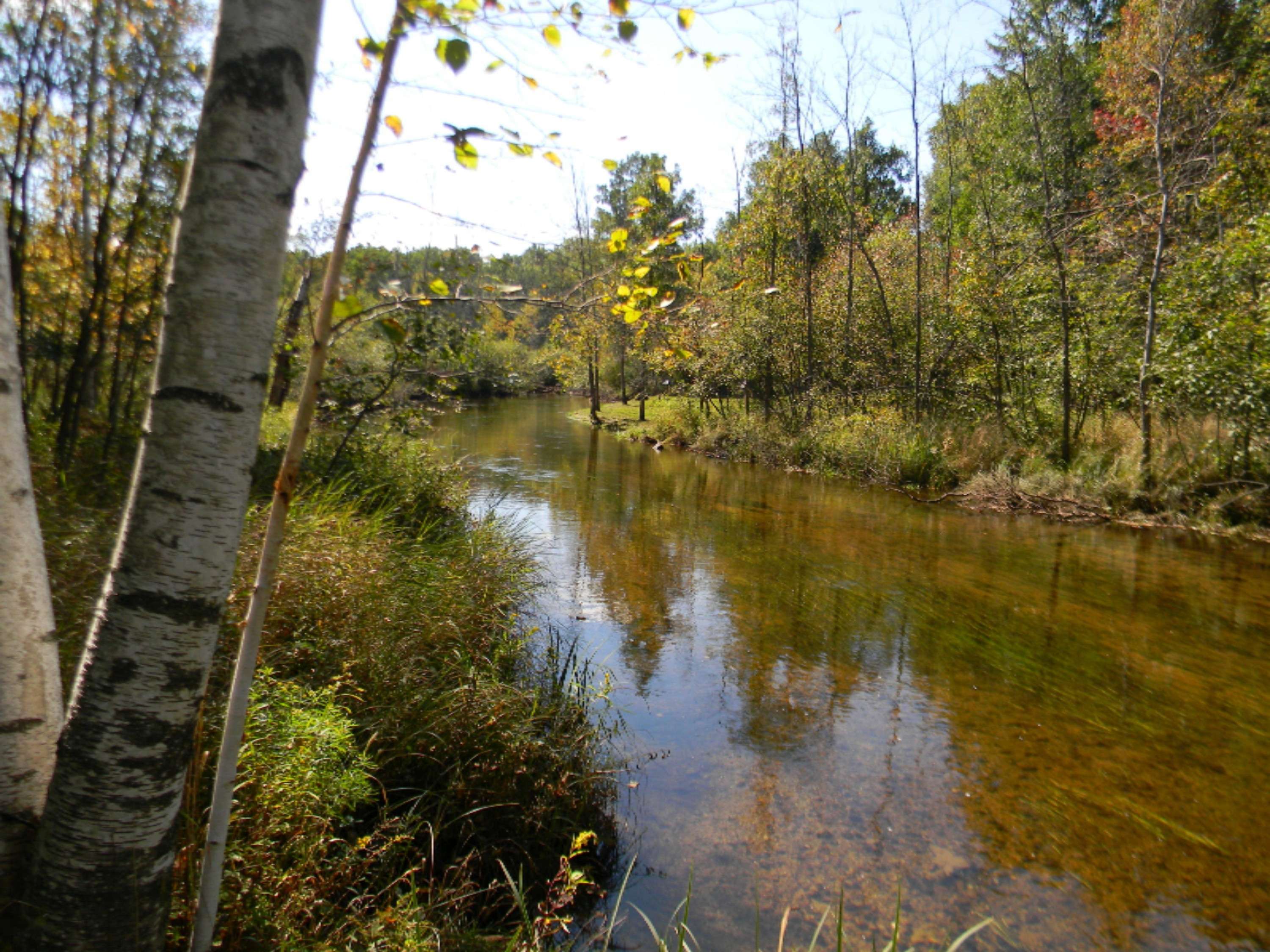 Canadian Lakes, MI 49346,7501 Madison Avenue