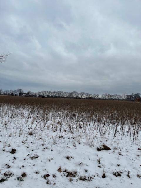 Mattawan, MI 49071,Lot A CR 652