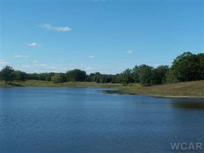 Canadian Lakes, MI 49346,11787 Newcastle Drive