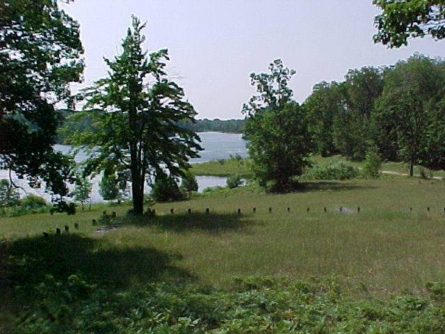 Canadian Lakes, MI 49346,11960 Belle Isle Drive