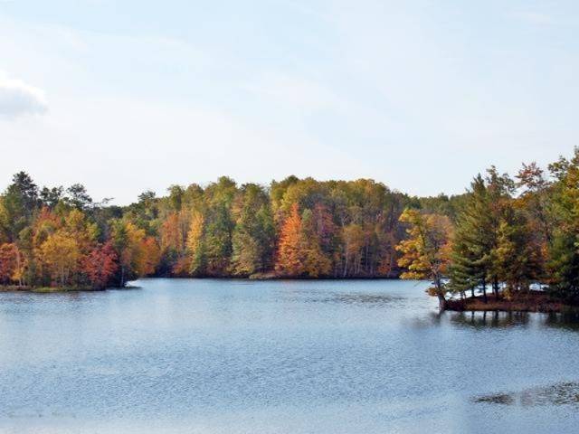 Canadian Lakes, MI 49346,12063 Saint Johns Drive