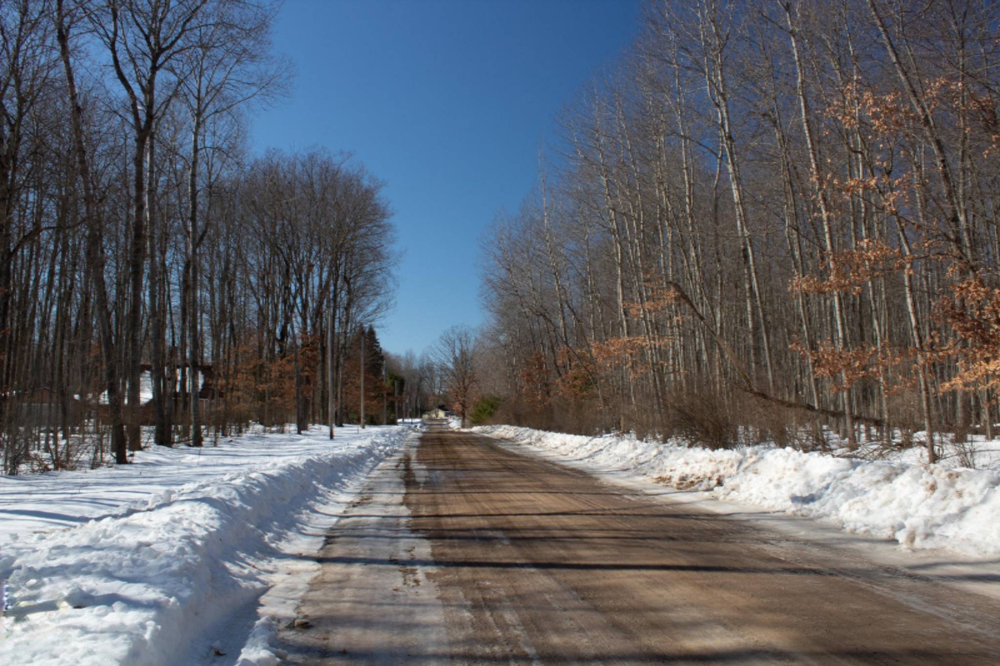 Canadian Lakes, MI 49346,8158 Highland Trail #288