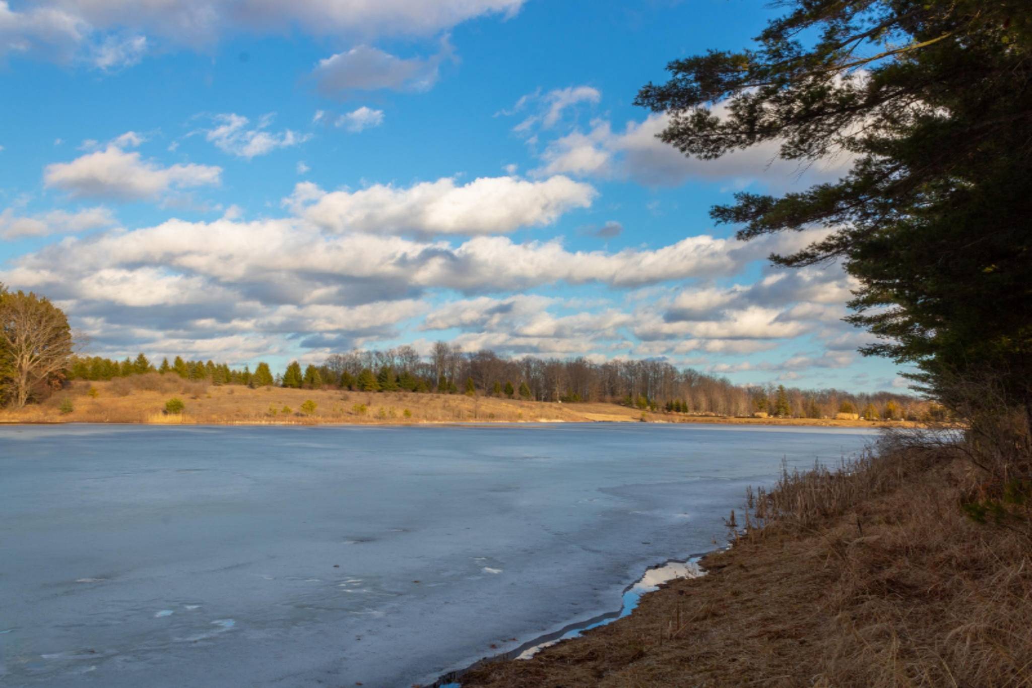 Canadian Lakes, MI 49346,6916 Bantry Bay #4