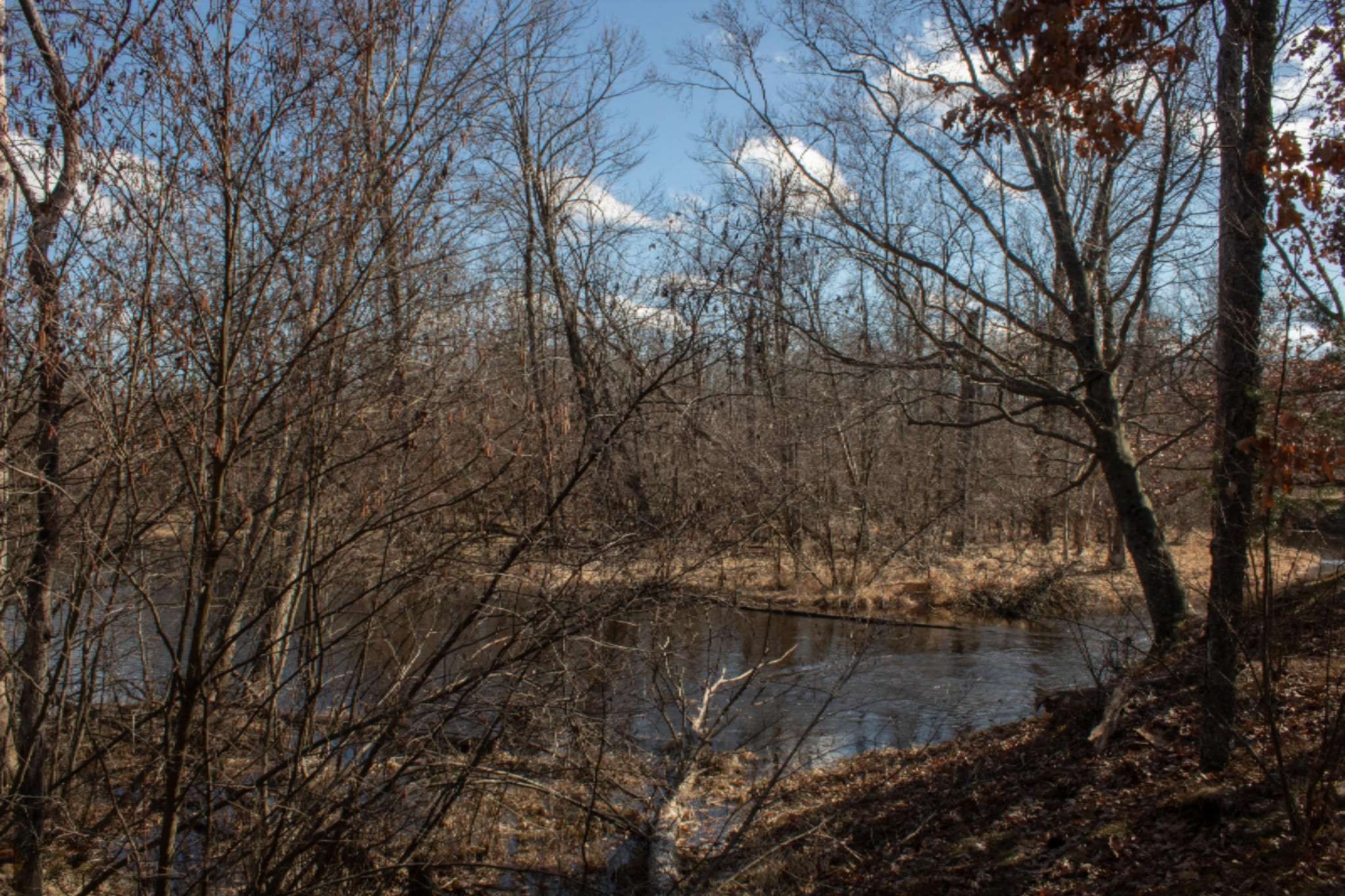 Canadian Lakes, MI 49346,6533 Cedar Trace #17