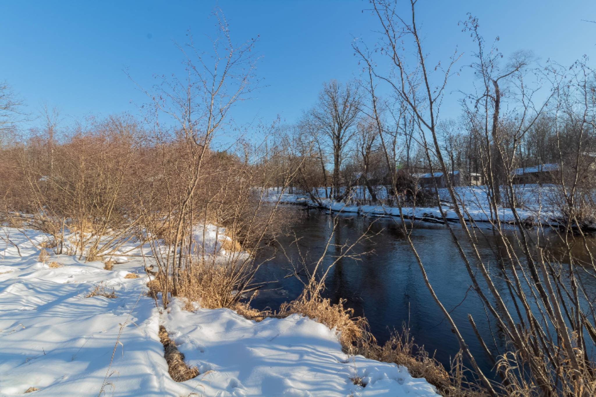 Canadian Lakes, MI 49346,6873 Cedar Trace #1