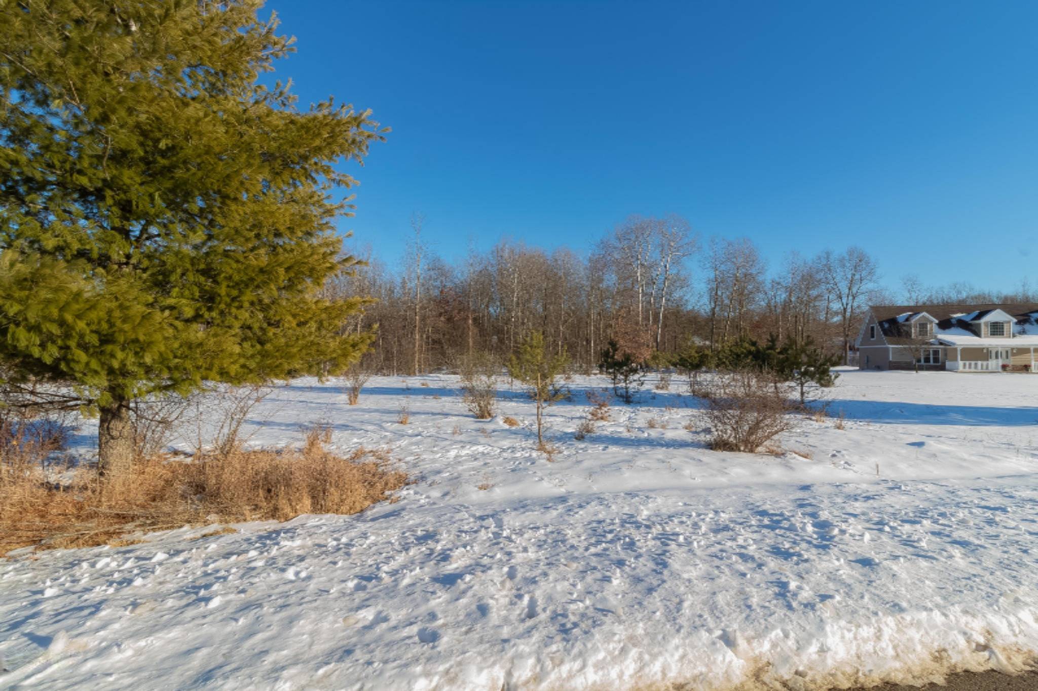 Canadian Lakes, MI 49346,6873 Cedar Trace #1