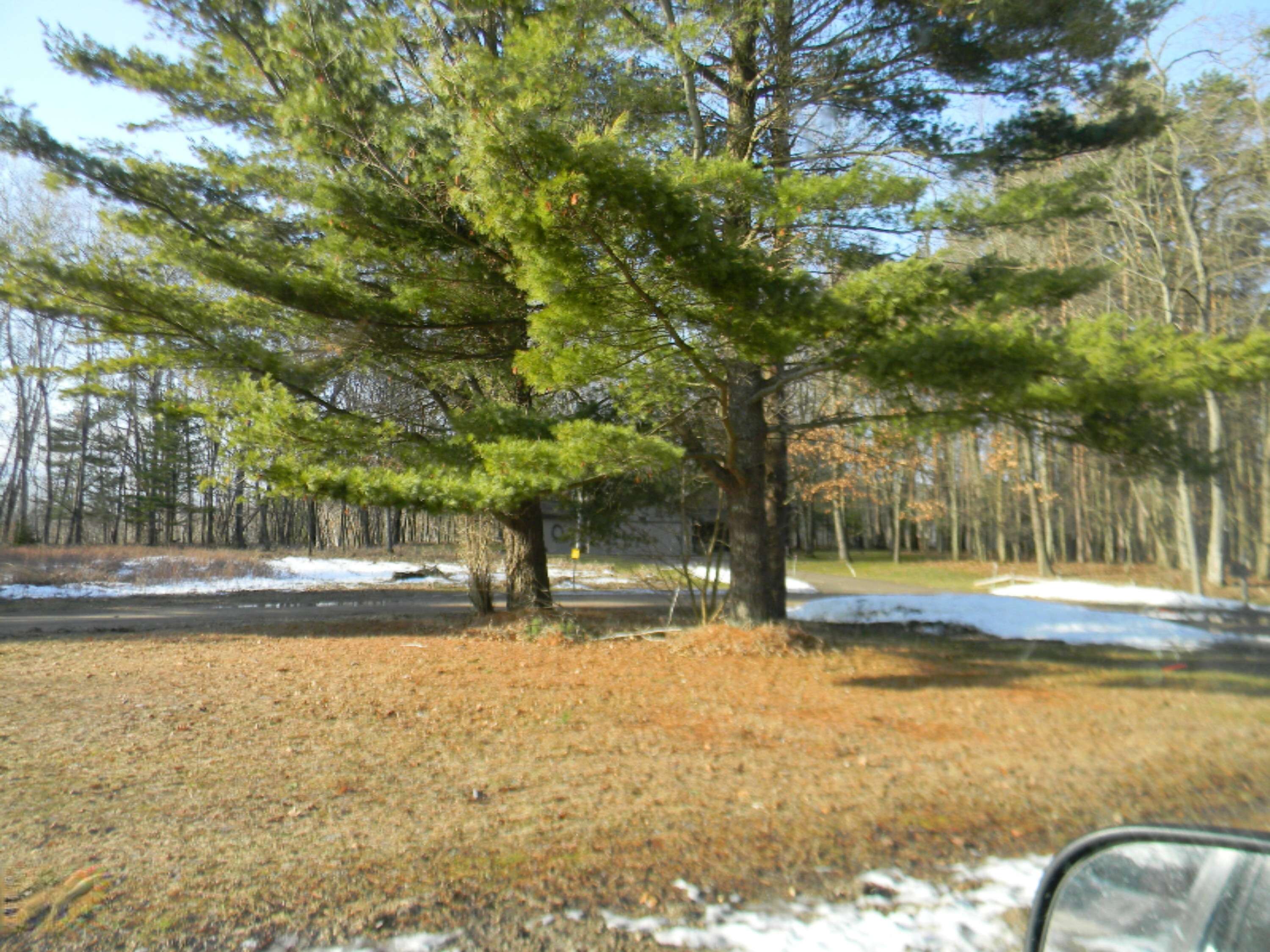 Canadian Lakes, MI 49346,10496 Valley Court