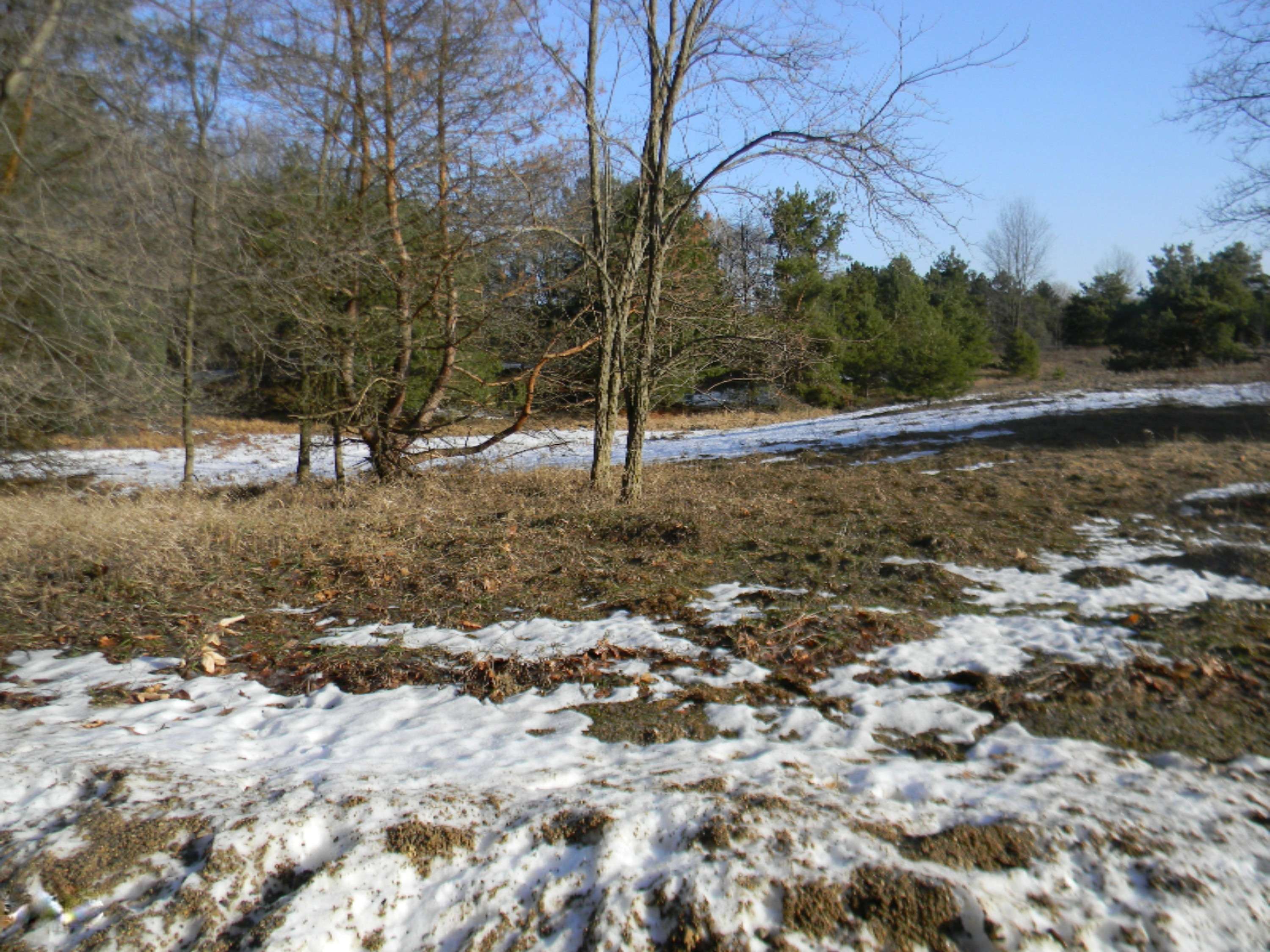 Canadian Lakes, MI 49346,10496 Valley Court