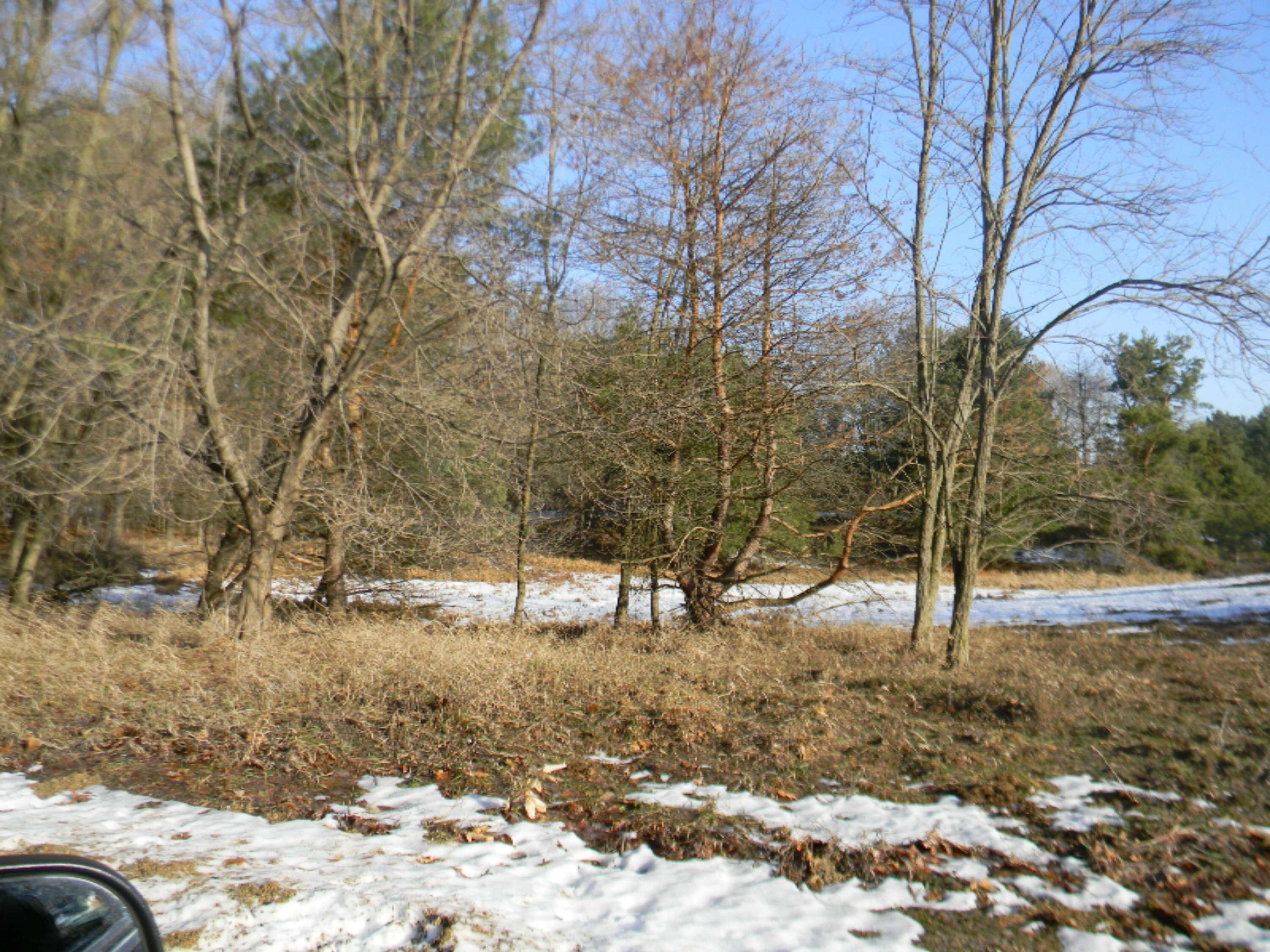 Canadian Lakes, MI 49346,10496 Valley Court