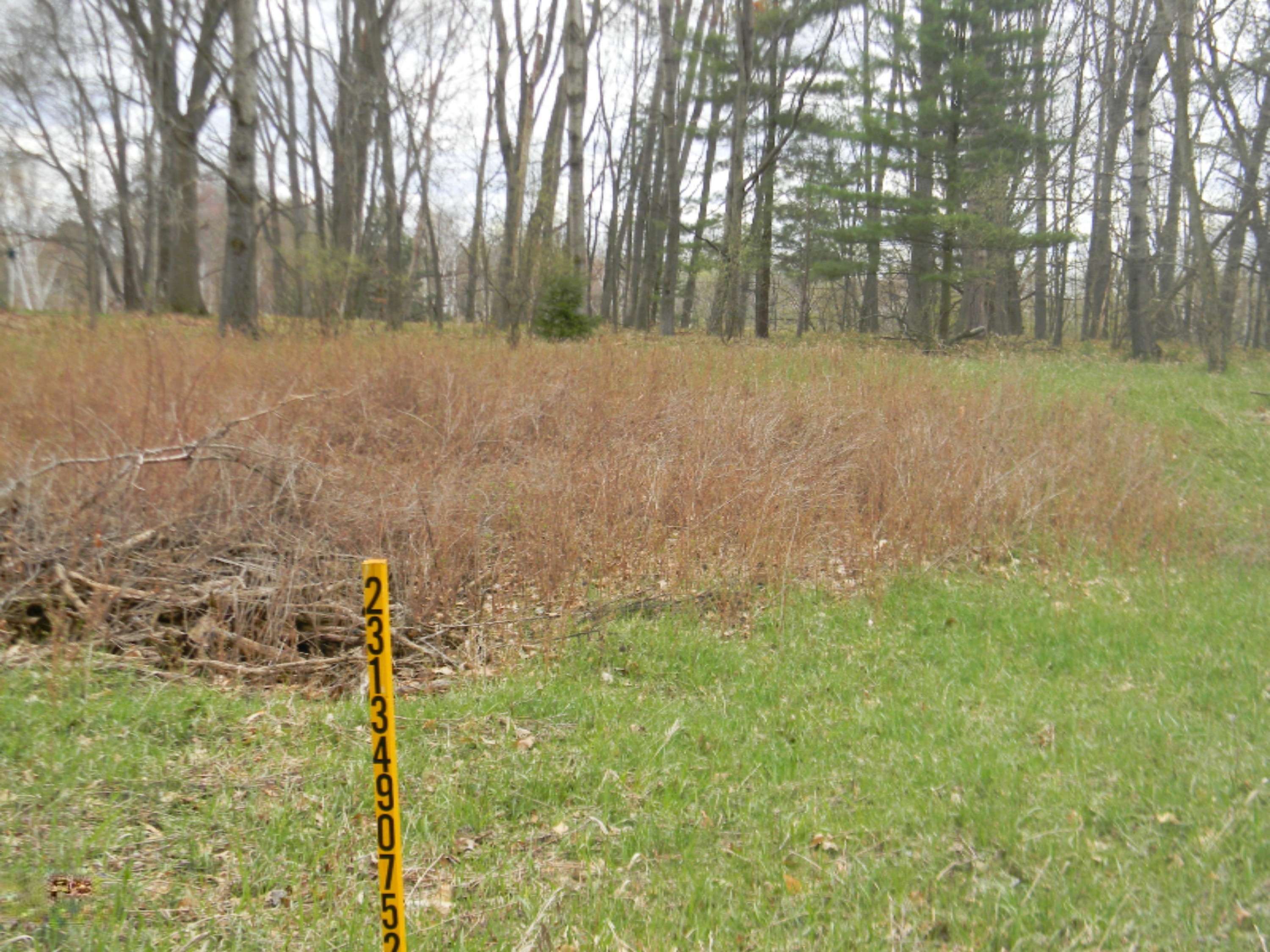 Canadian Lakes, MI 49346,10493 Valley Court