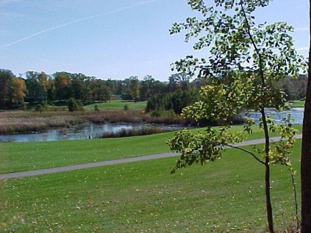 Canadian Lakes, MI 49346,9274 Stonebridge Drive