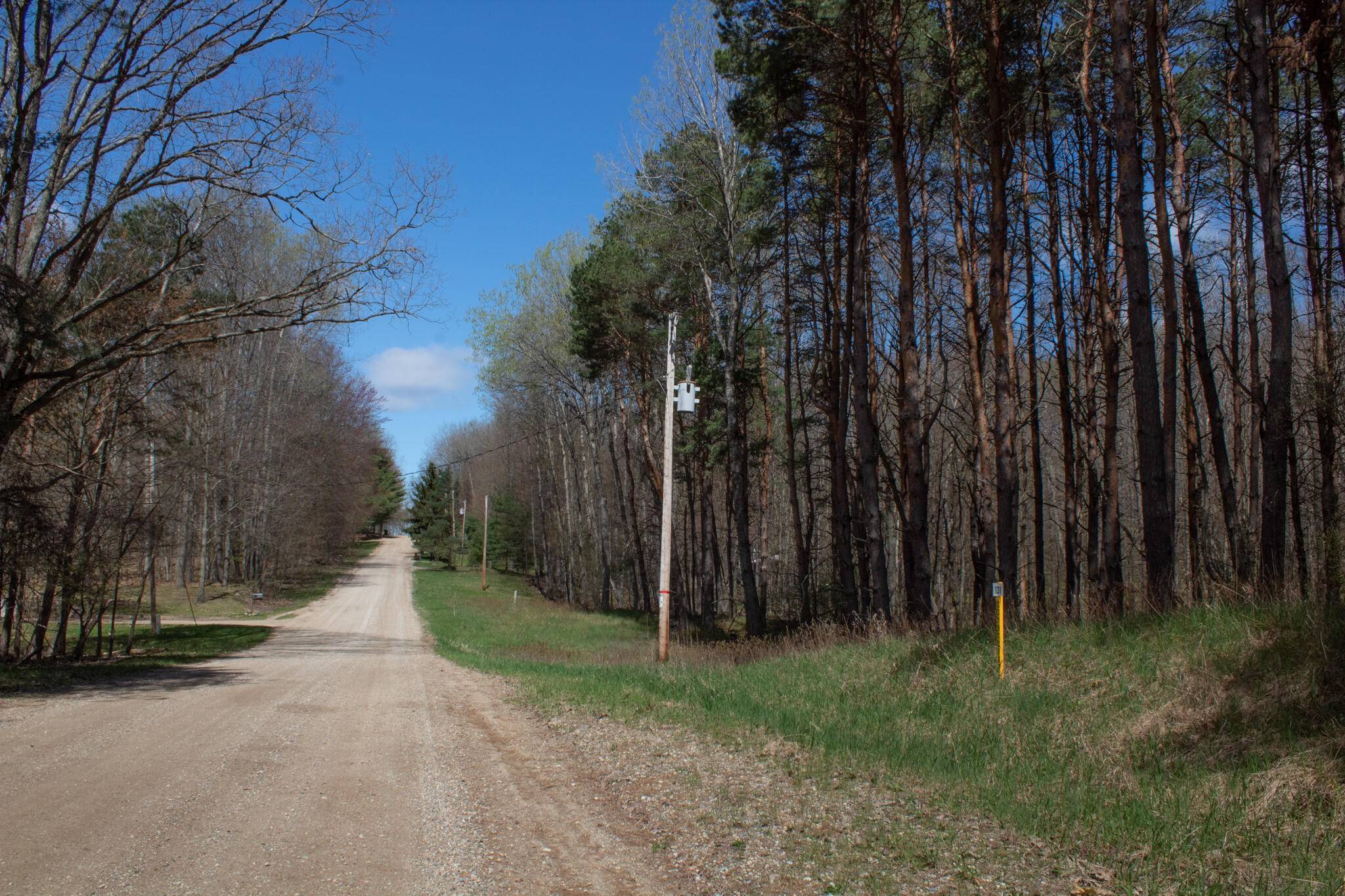 Canadian Lakes, MI 49346,8196 Pine Tree Trail #131