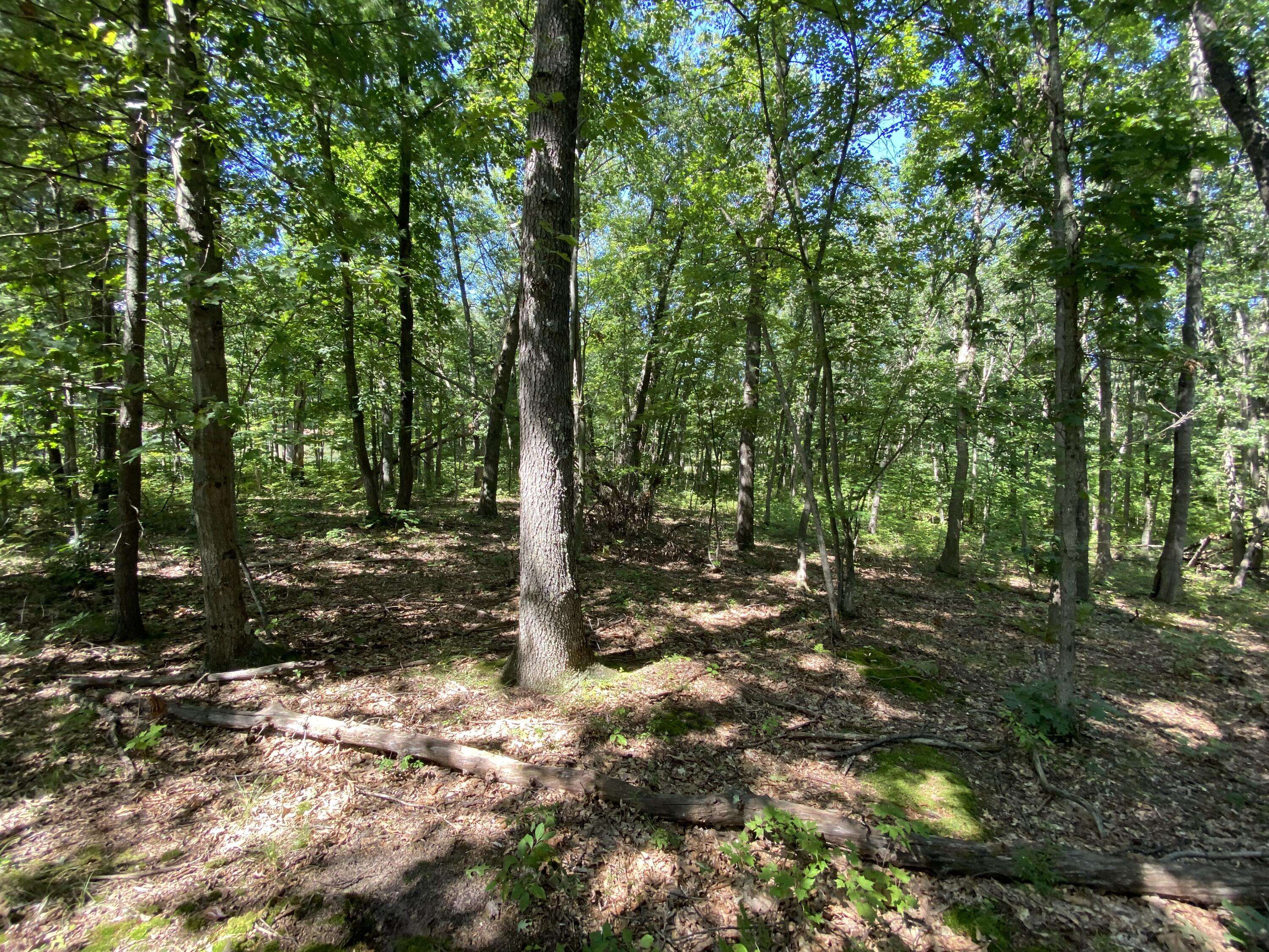 Fountain, MI 49410,Sandra Kay Avenue #Lot 140