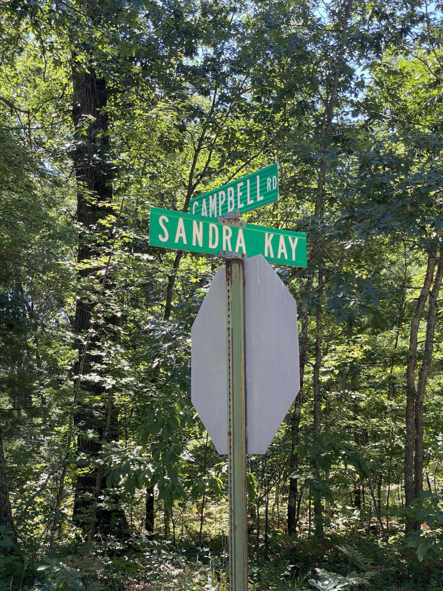 Fountain, MI 49410,Sandra Kay Avenue #Lot 140