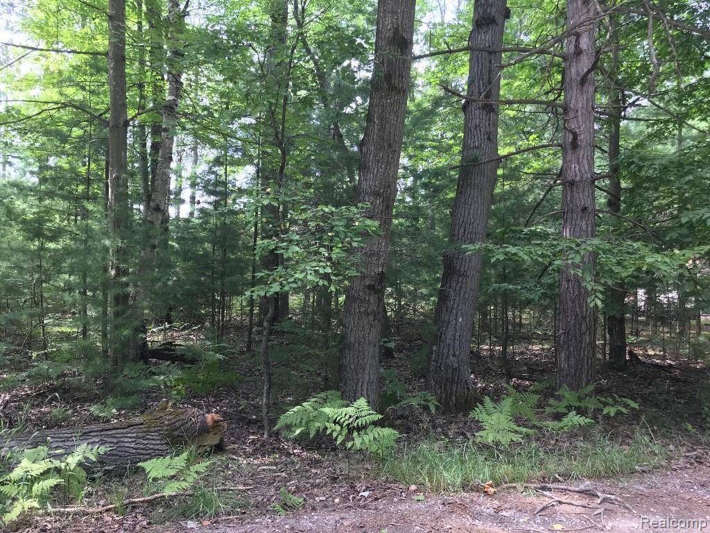 Lincoln, MI 48742,0 Racoon Trail