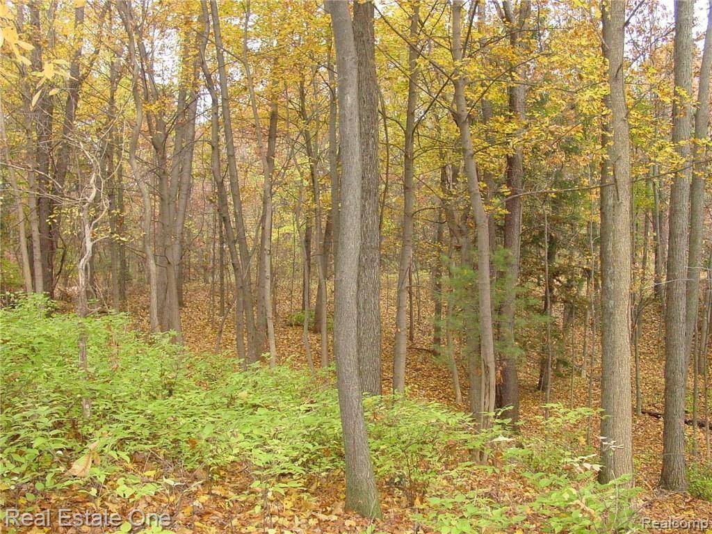 Highland, MI,L3 Addaleen Drive