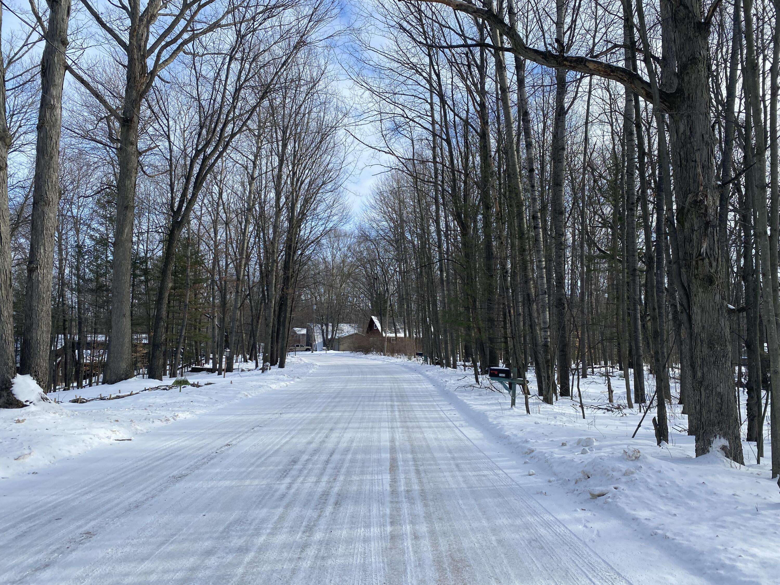 Canadian Lakes, MI 49346,11475 Alpine Road #71