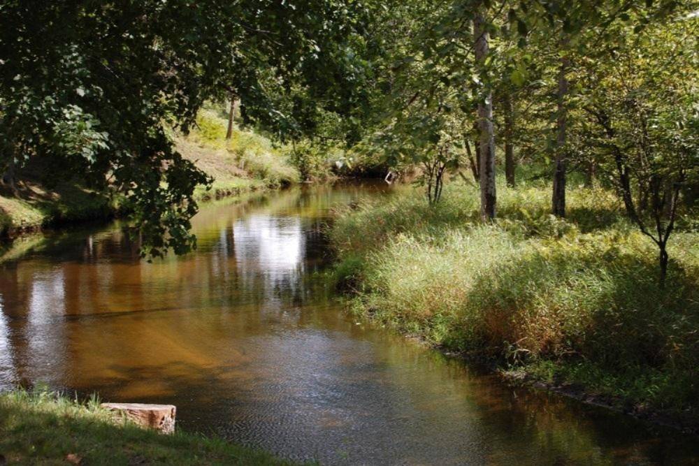 Canadian Lakes, MI 49346,6579 Cedar Trace #015