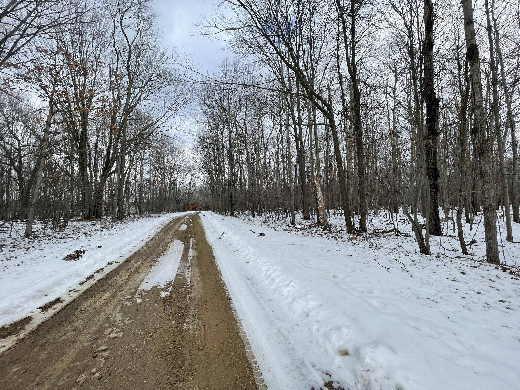 Canadian Lakes, MI 49346,6300 Cedaredge Drive