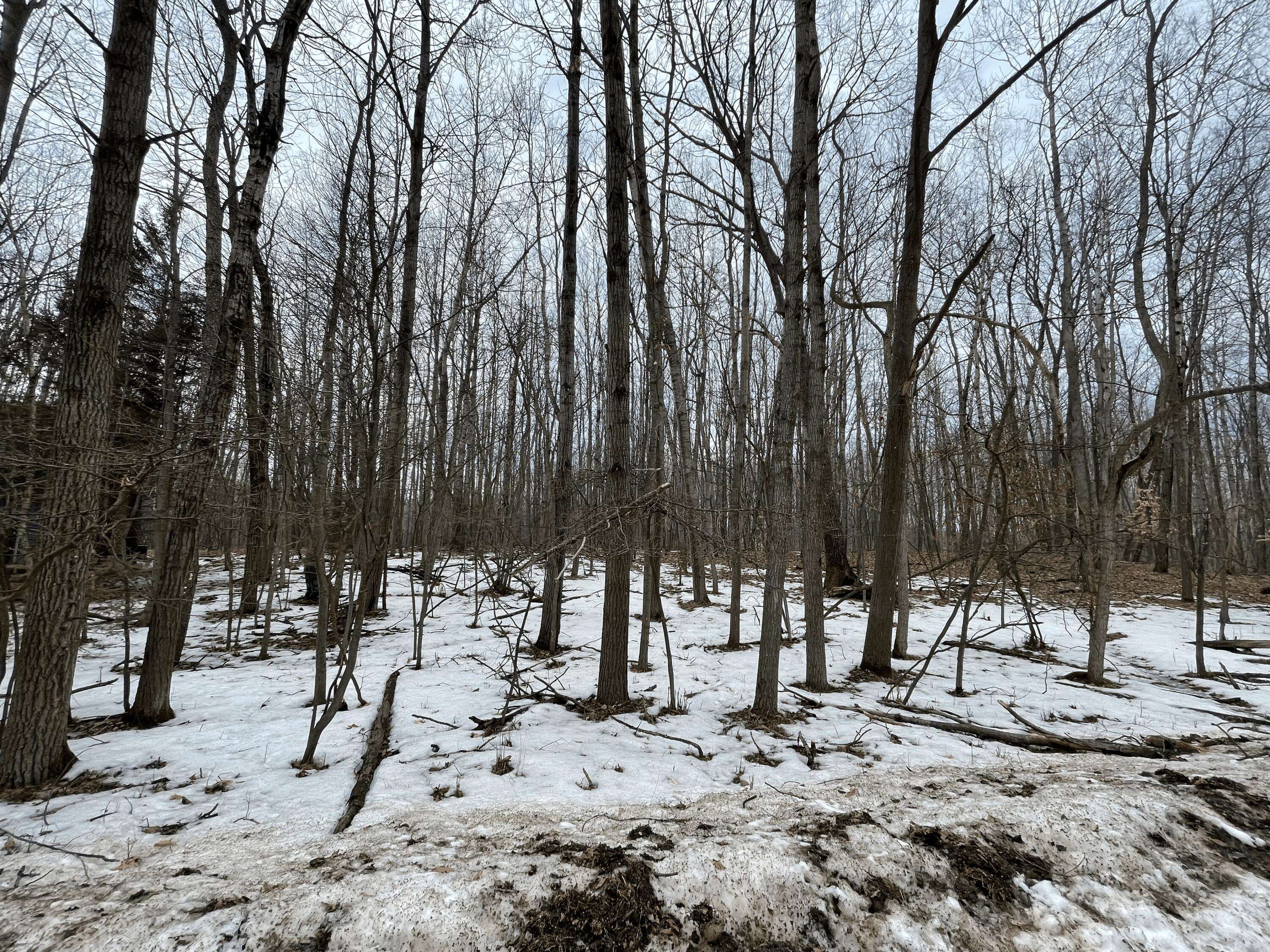 Canadian Lakes, MI 49346,12082 Trail Creek Drive