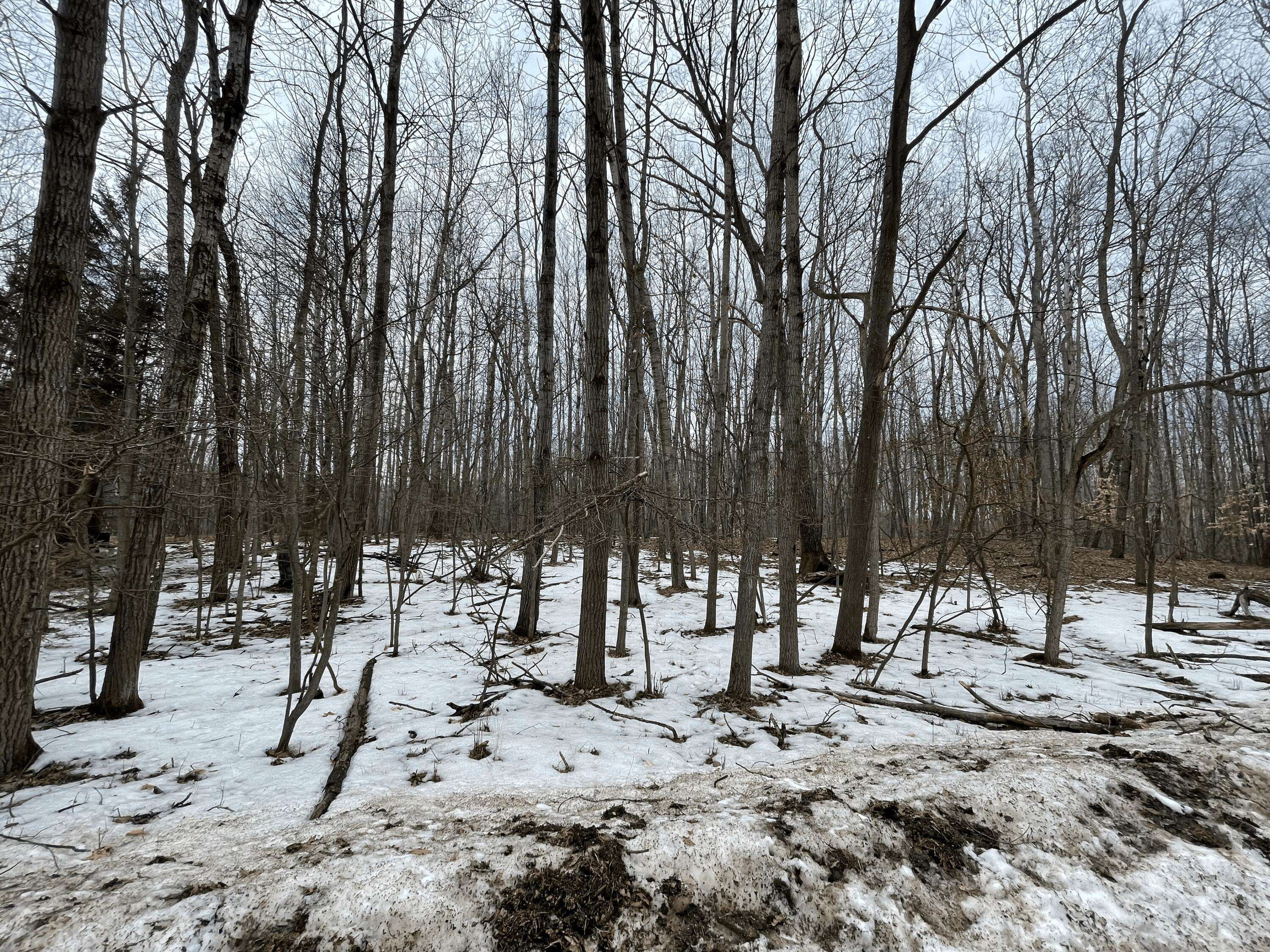 Canadian Lakes, MI 49346,12082 Trail Creek Drive