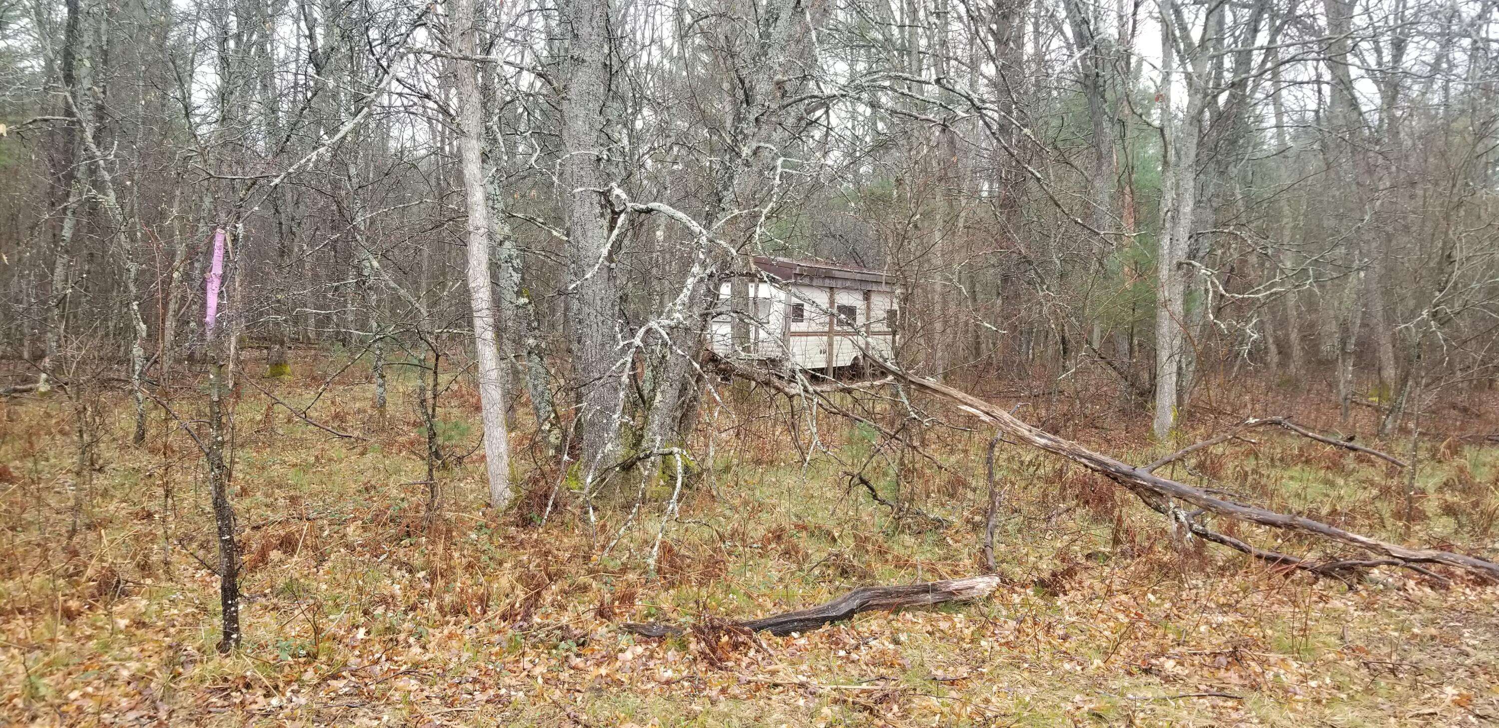 Dublin, MI 49689,00 Laverne Road