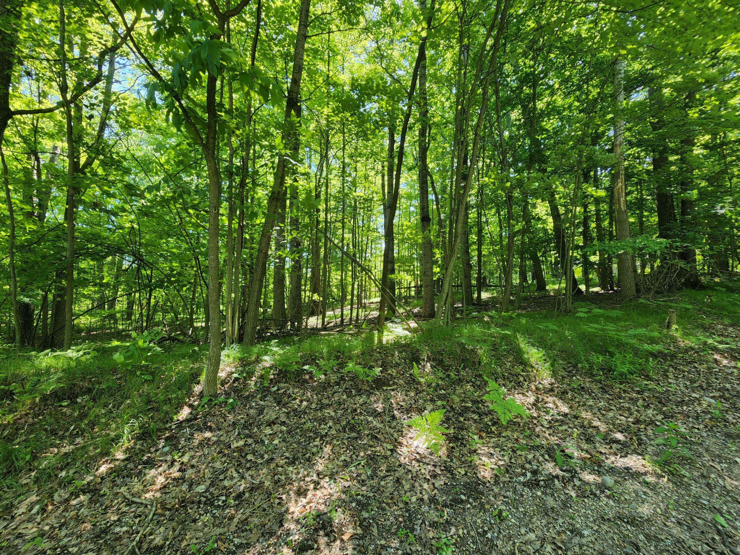 Canadian Lakes, MI 49346,10152 Mountain View Trail