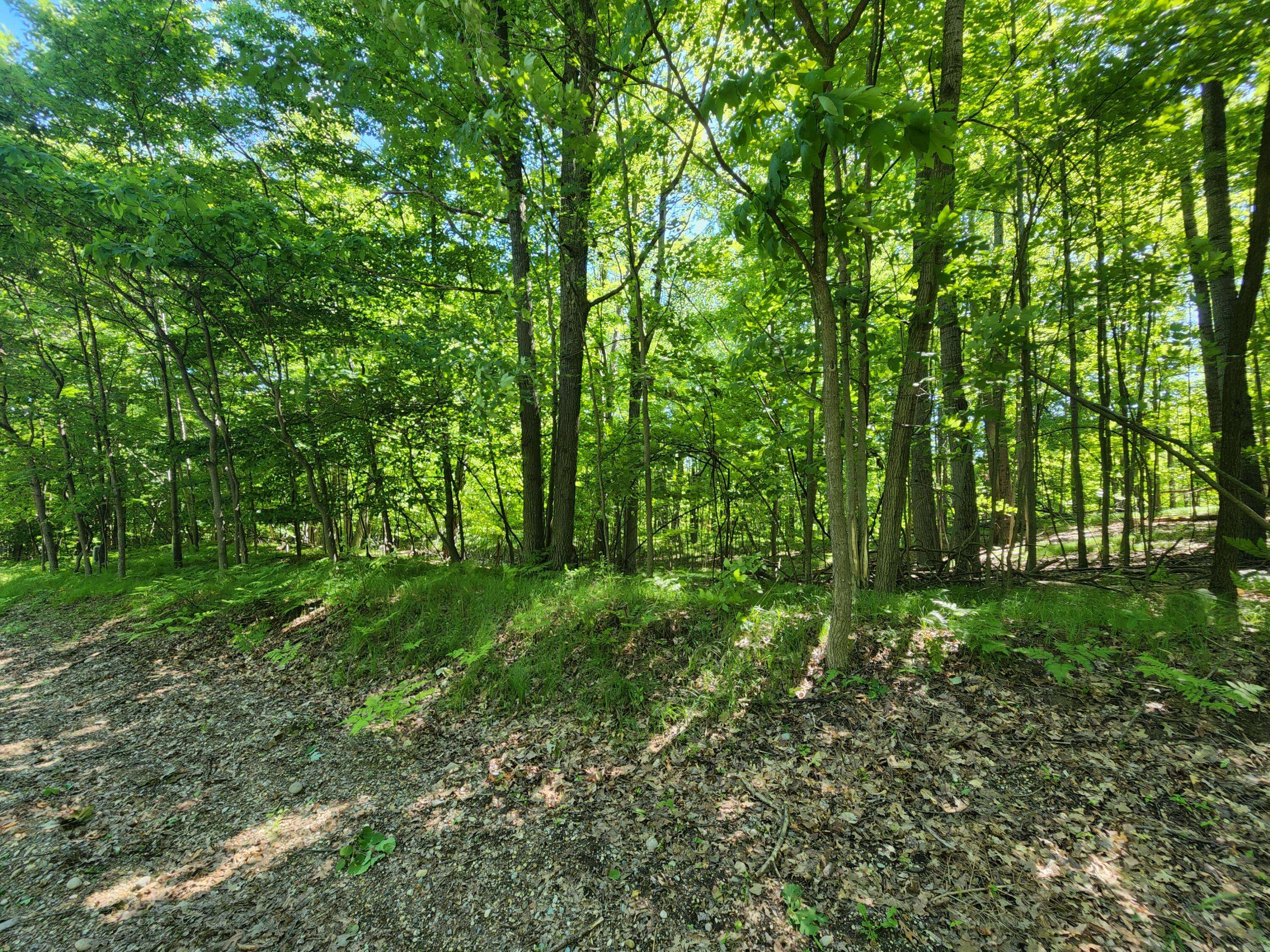 Canadian Lakes, MI 49346,10152 Mountain View Trail