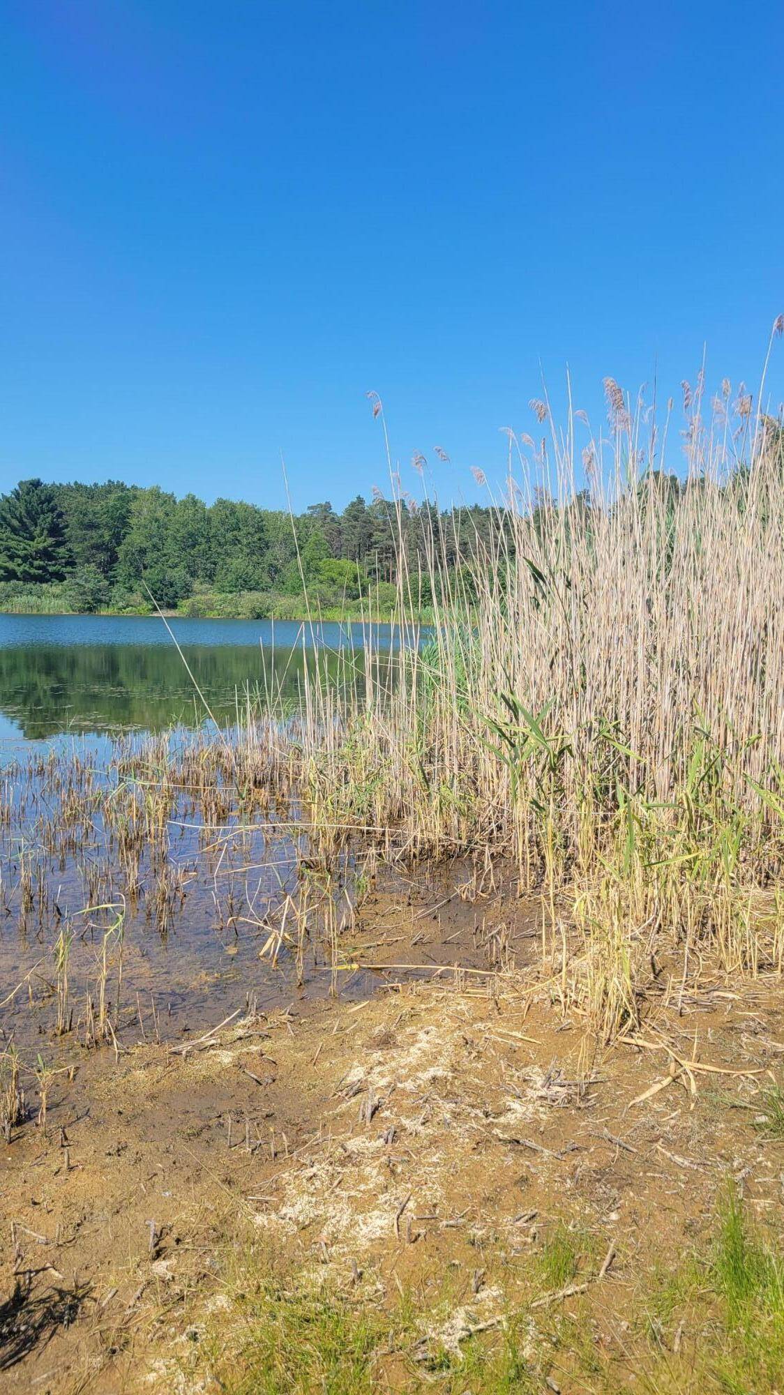 Canadian Lakes, MI 49346,6158 Kilkenny