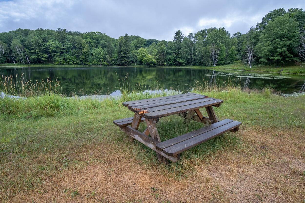 Canadian Lakes, MI 49346,11866 Cheyenne Wells Trail