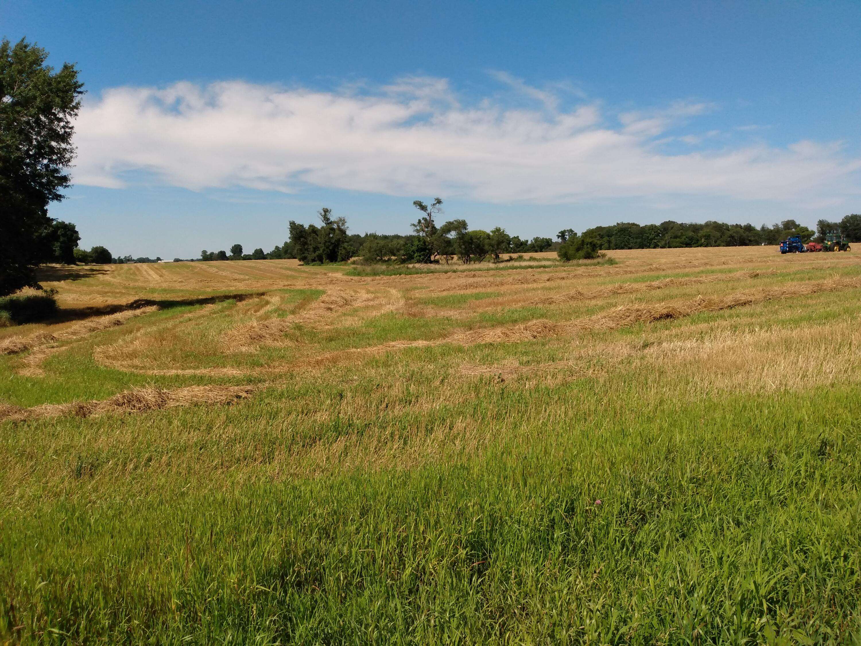 Bronson, MI 49028,V-L Cemetery Road