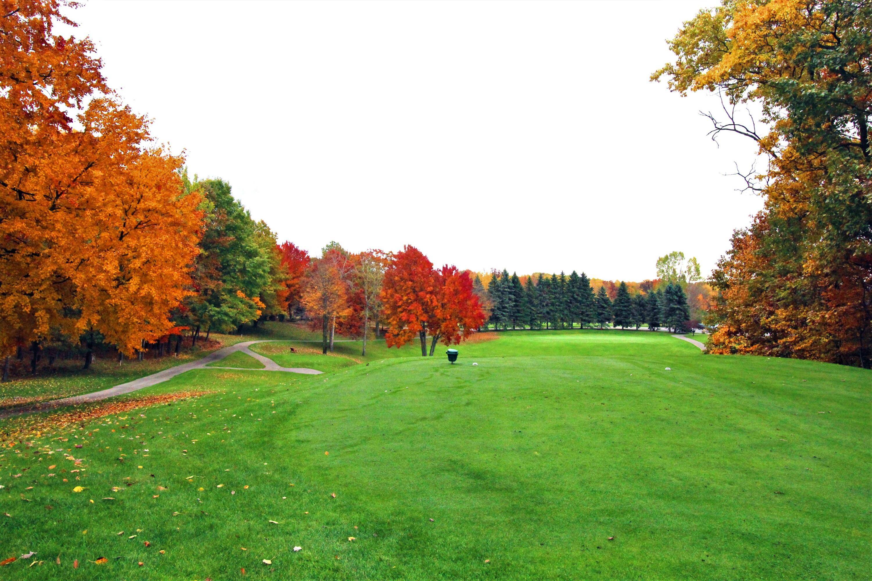 Canadian Lakes, MI 49346,7658 W Royal Road