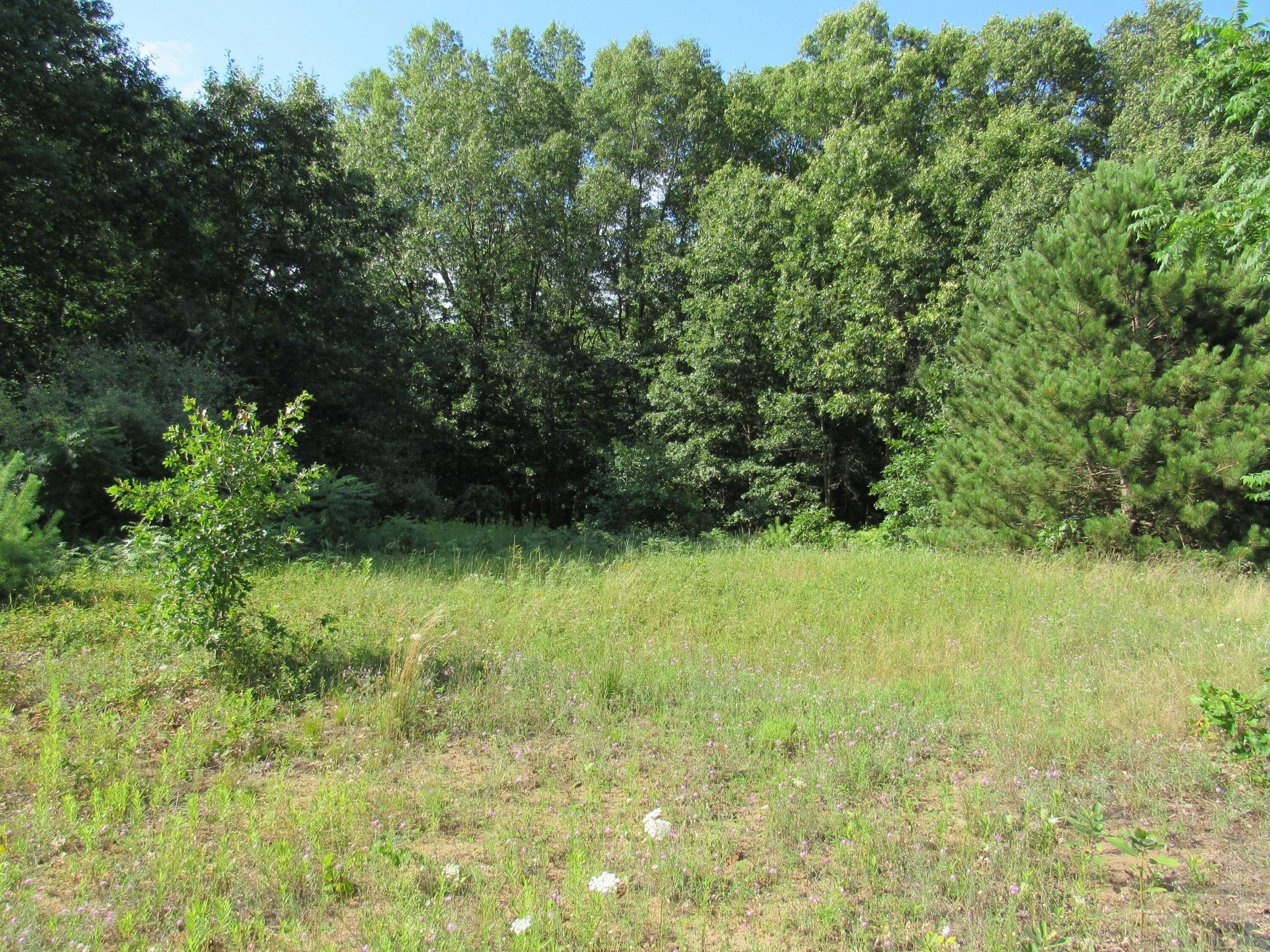 Pentwater, MI 49449,Birch Lane #Lot 52 & 53