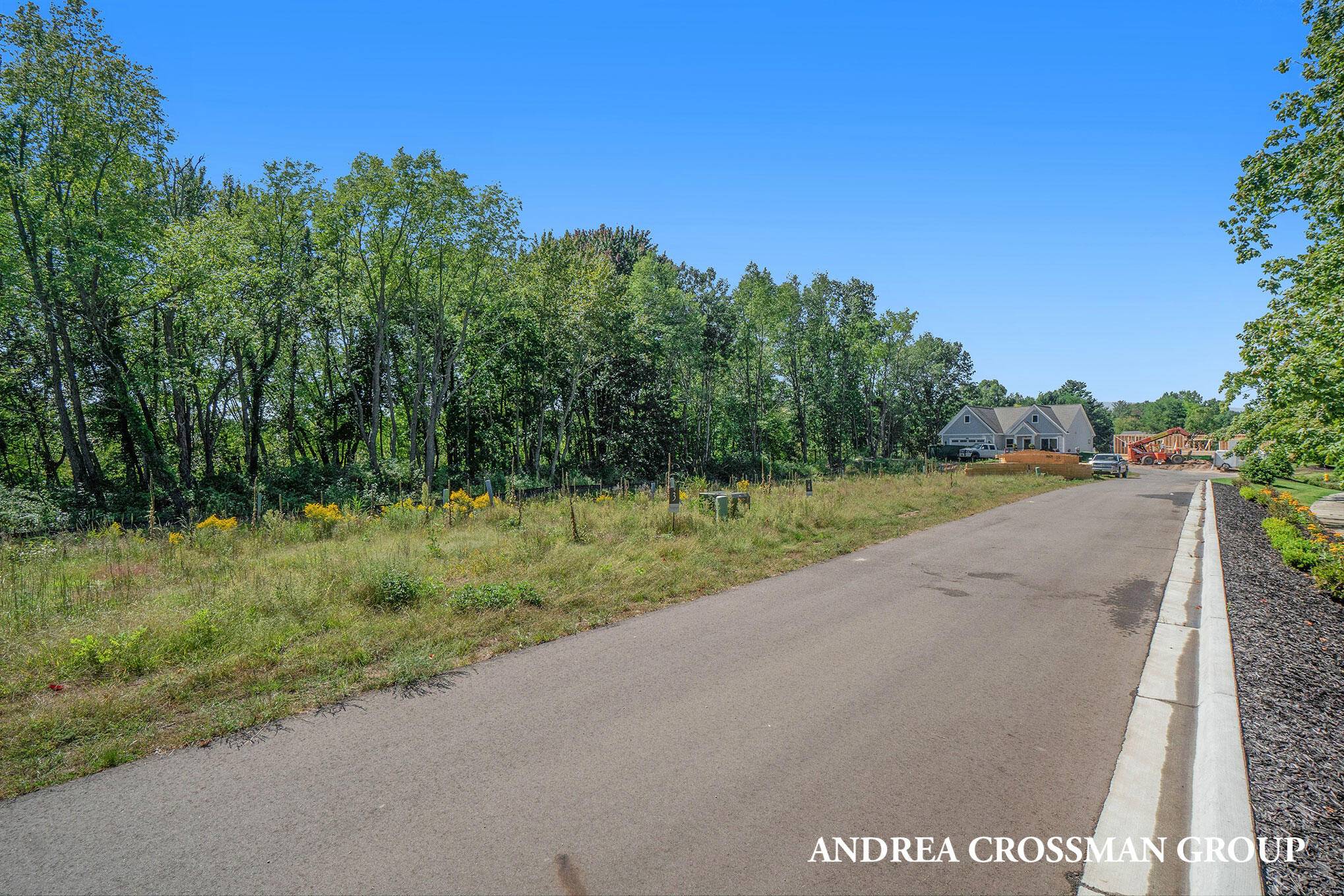 Spring Lake, MI 49456,17438 Bellgate Lane #Lot 4