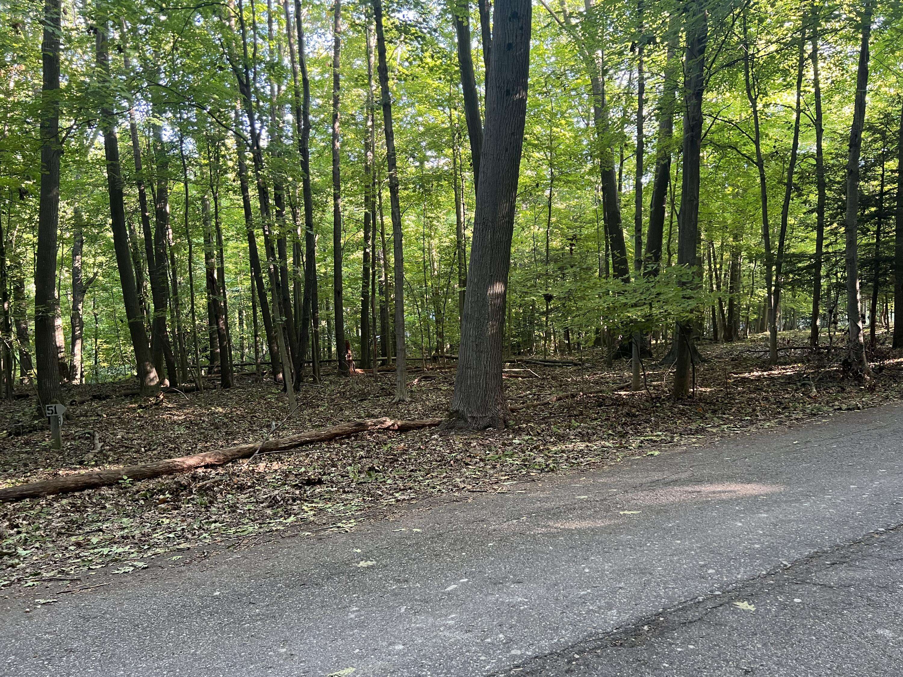 South Haven, MI 49090,Lot 51 Creekwood Drive