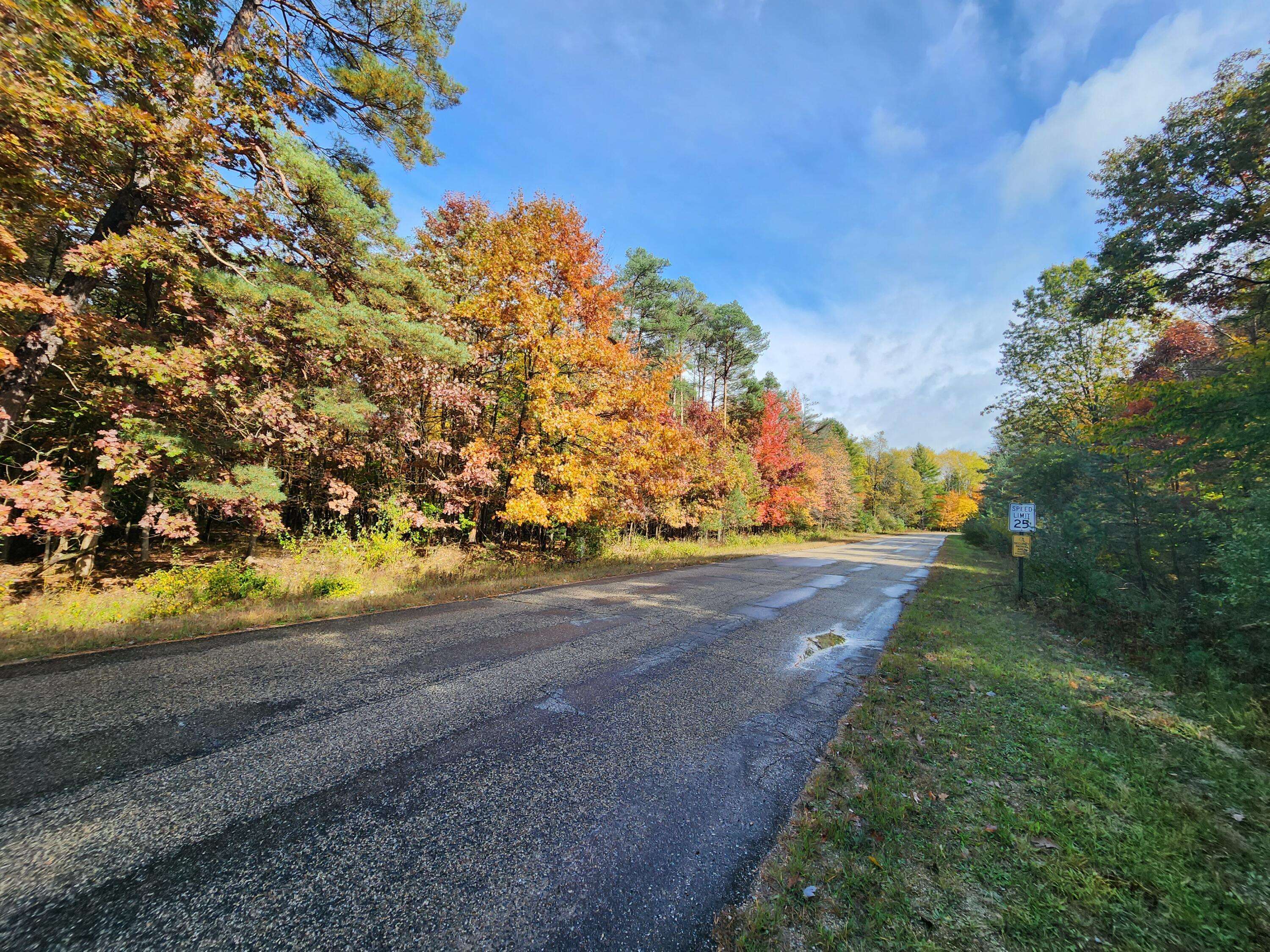 Canadian Lakes, MI 49346,10952 Dobbyn Drive