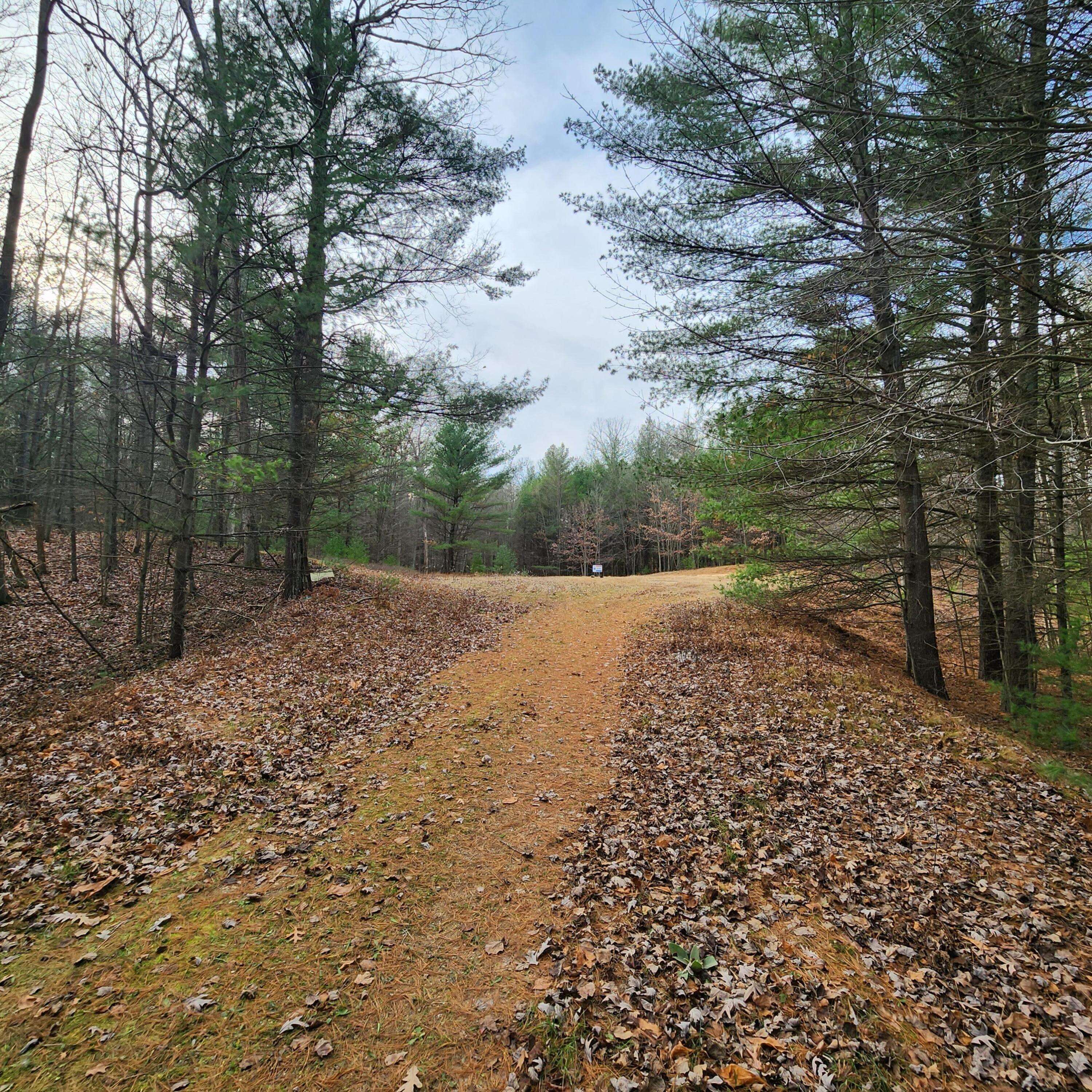 Pentwater, MI 49449,Lot #1 Wayne Rd