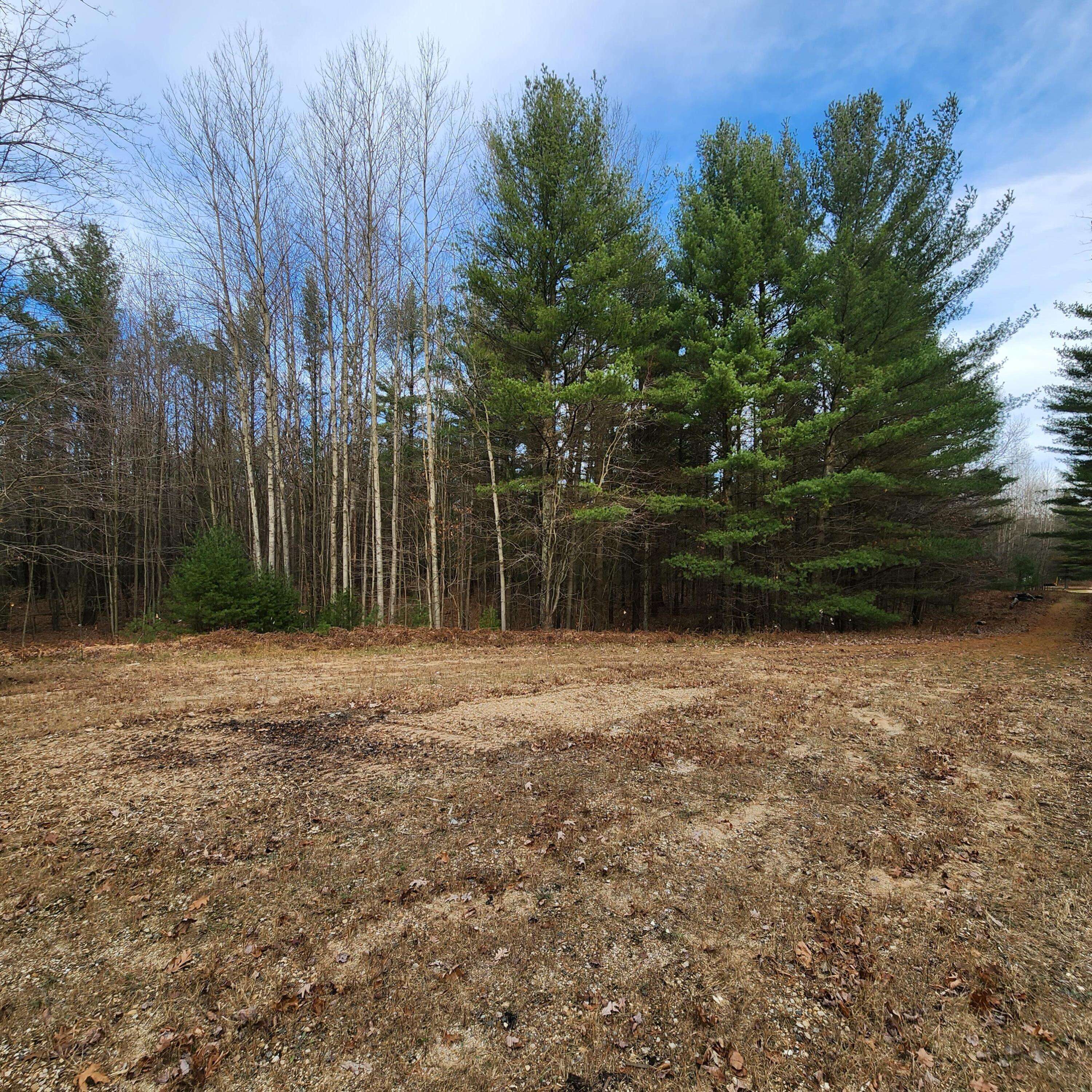 Pentwater, MI 49449,Lot #1 Wayne Rd