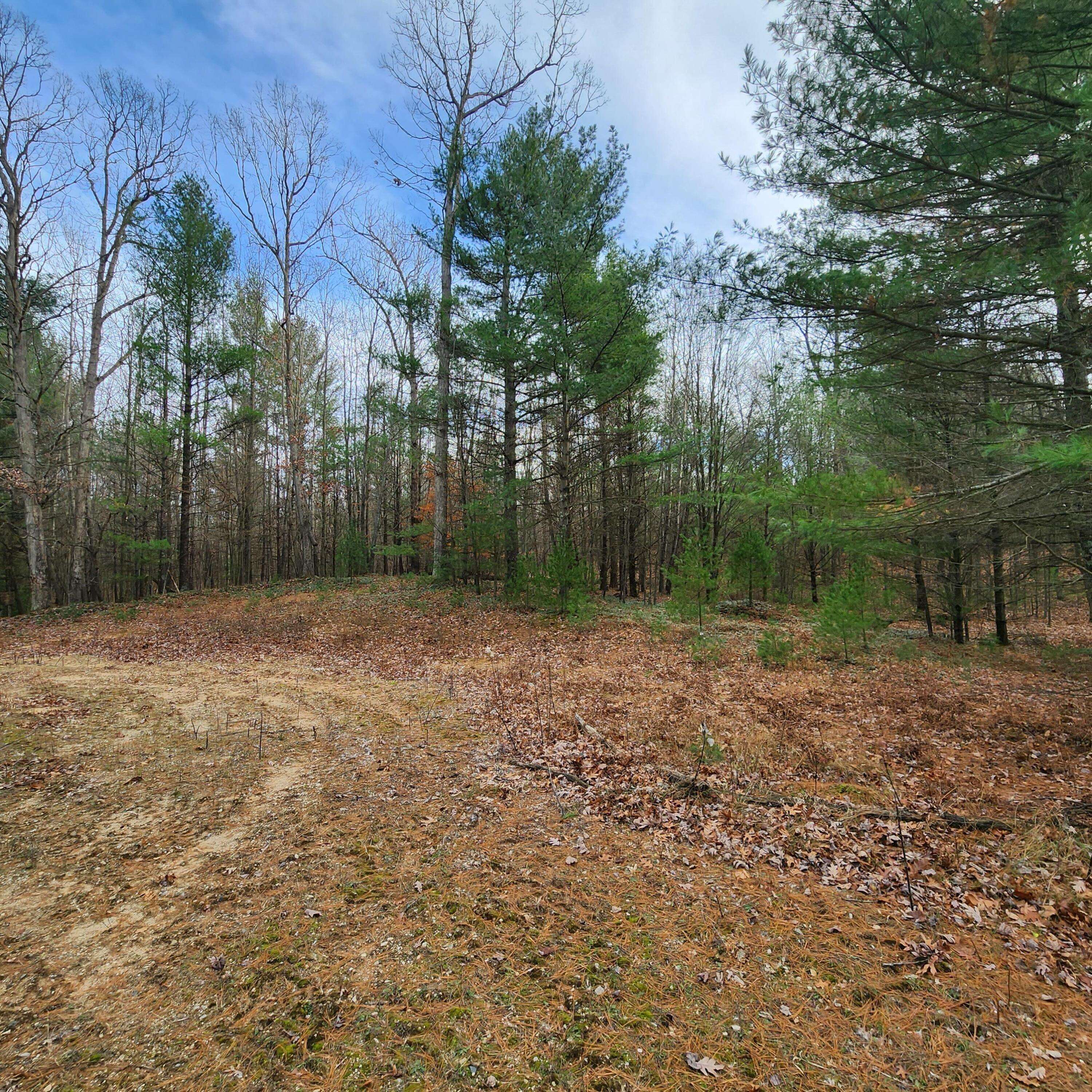 Pentwater, MI 49449,Lot #1 Wayne Rd