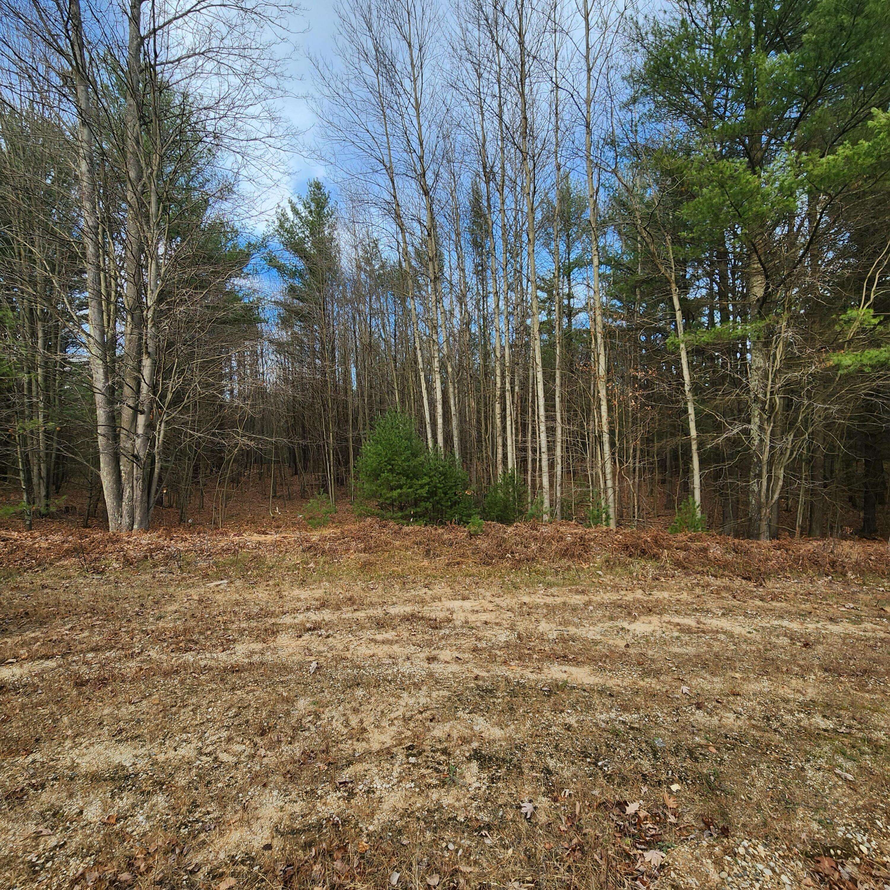 Pentwater, MI 49449,Lot #1 Wayne Rd