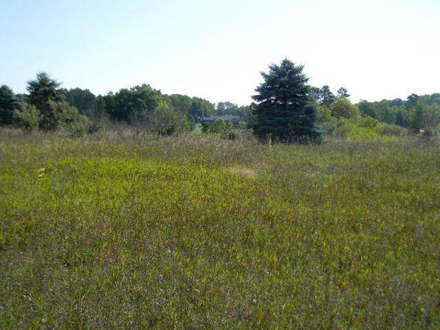 Canadian Lakes, MI 49346,8520 125th Avenue