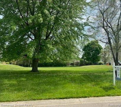 Livonia, MI 48152,35321 CURTIS Road