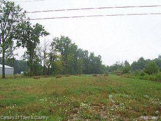 Almont, MI 48003,0 Van Dyke Road