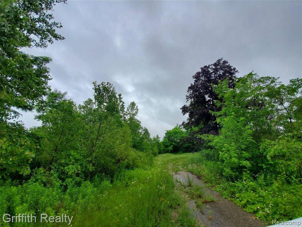 Brighton, MI 48114,4125 FLINT Road