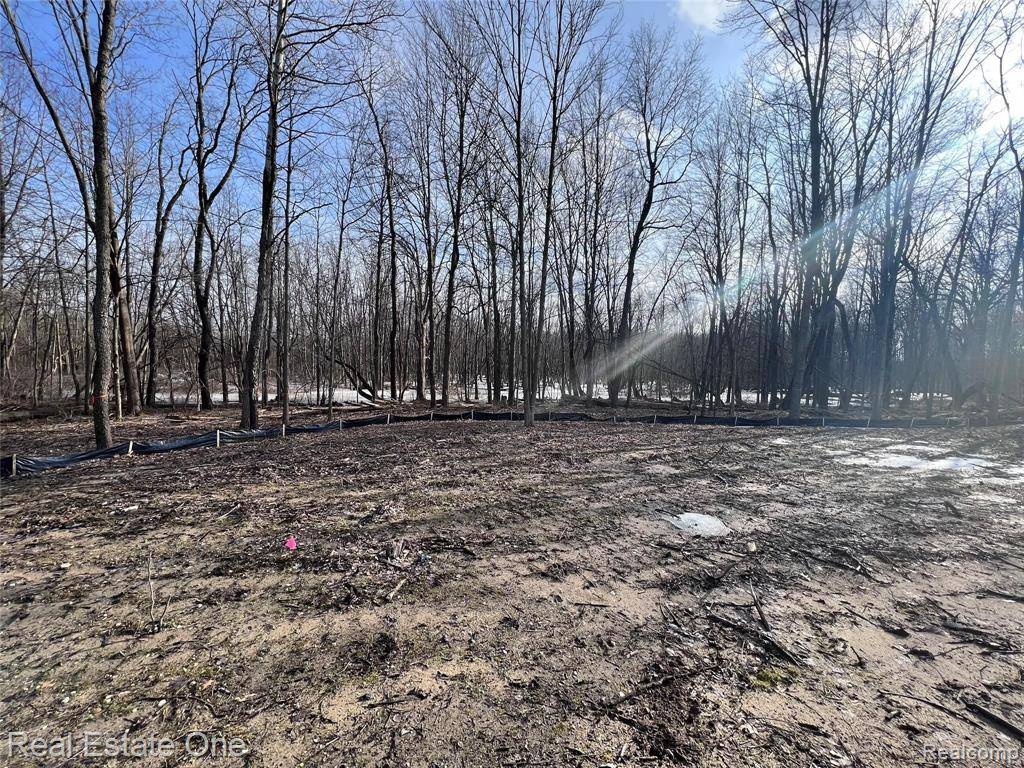 Rochester, MI 48306,5700 Rolling Hills Drive