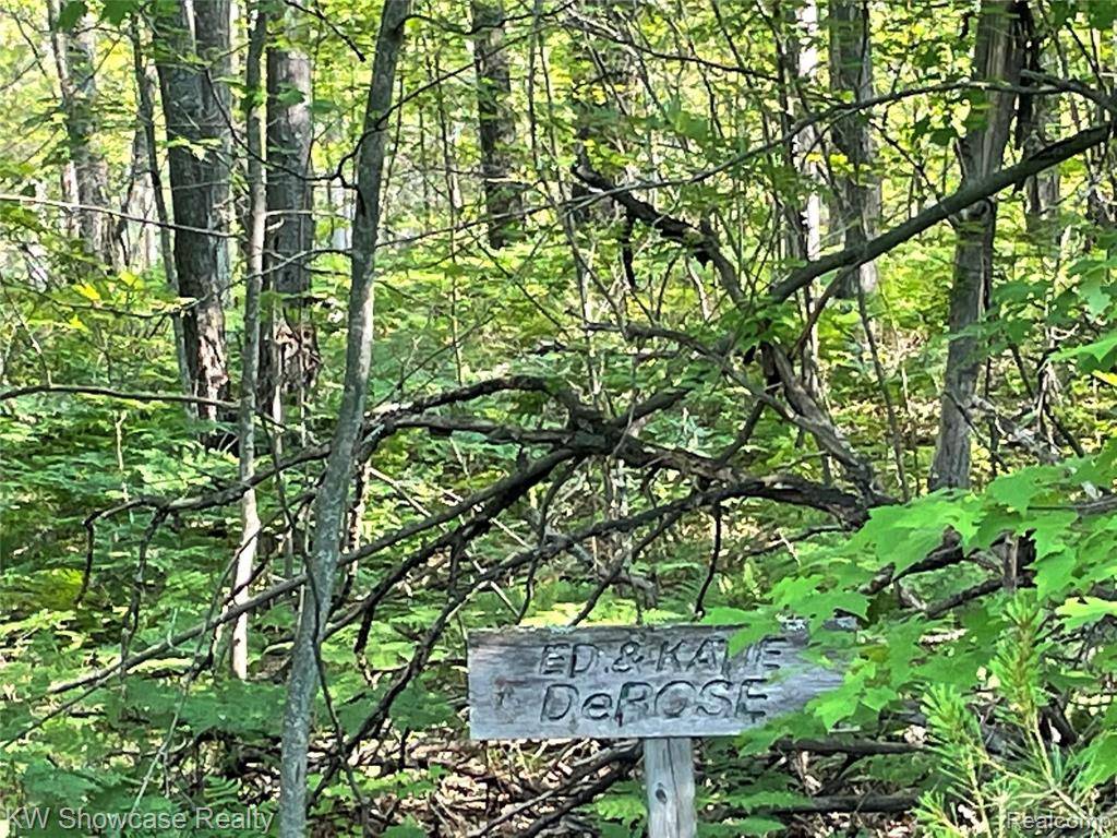 Lewiston, MI 49756,141 Garland Woods Lane