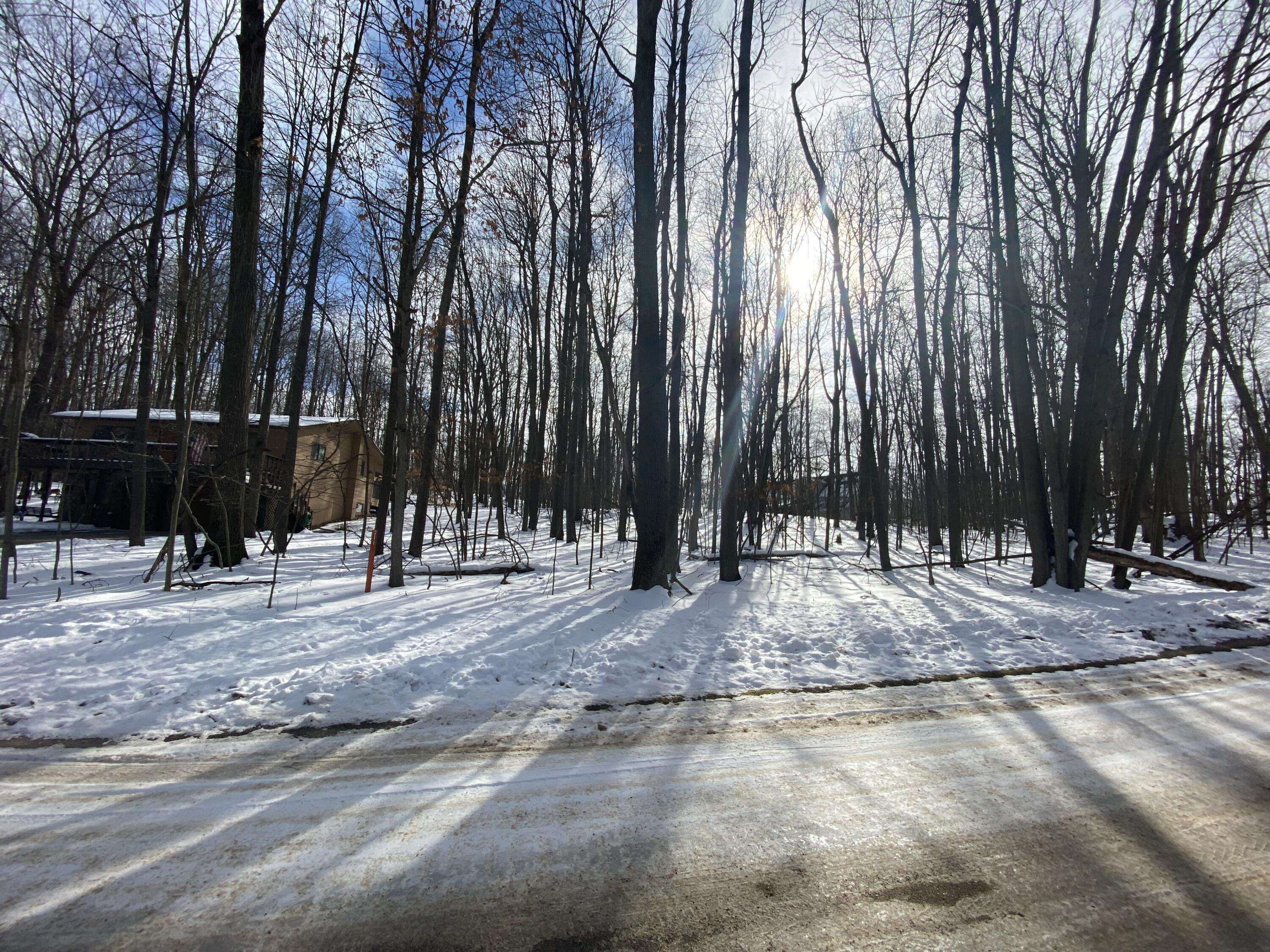 Canadian Lakes, MI 49346,9854 Caddie Drive #218